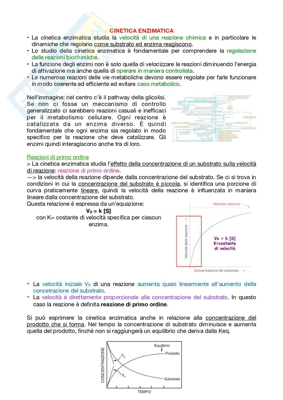 Appunti Biochimica 1 - Parte 2 - completi di immagini e schemi Pag. 2