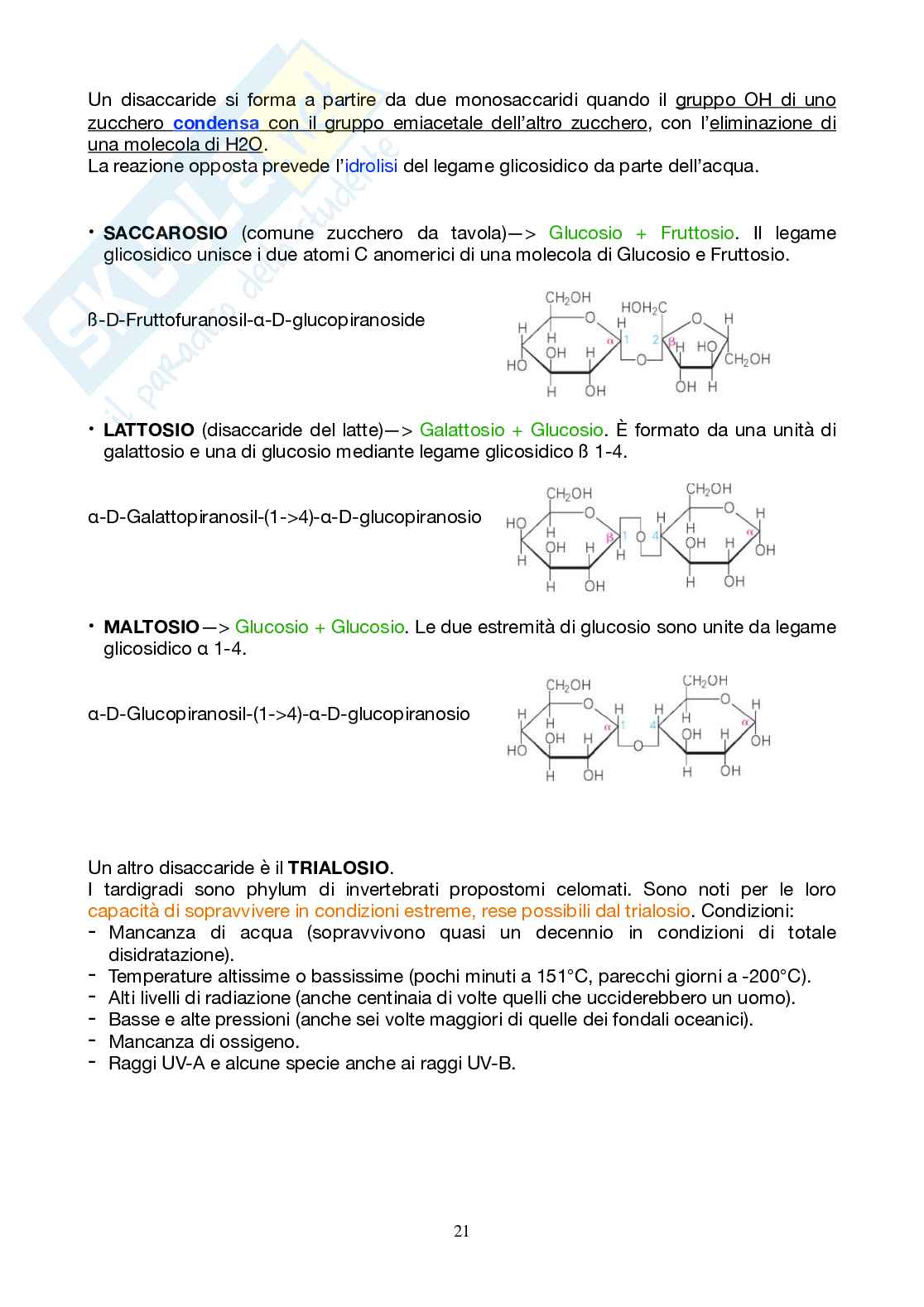 Appunti Biochimica 1 - Parte 2 - completi di immagini e schemi Pag. 21