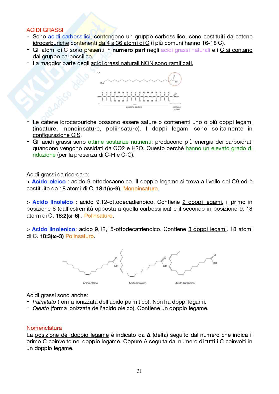Appunti Biochimica 1 - Parte 2 - completi di immagini e schemi Pag. 31