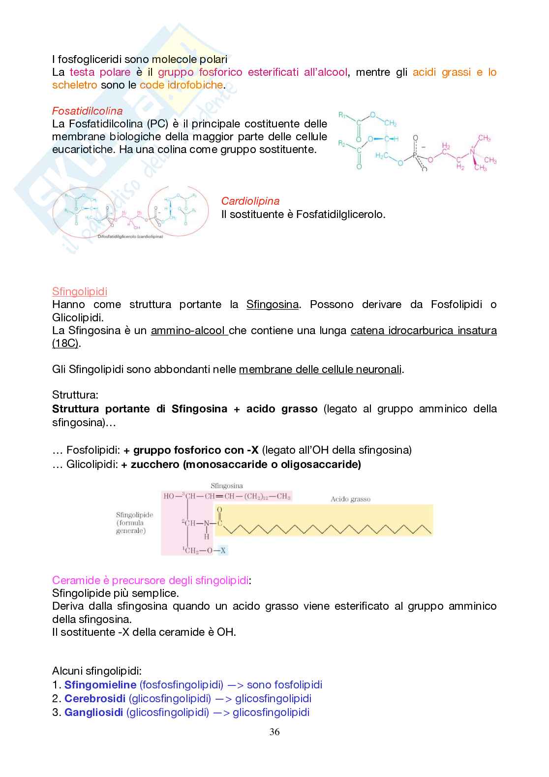Appunti Biochimica 1 - Parte 2 - completi di immagini e schemi Pag. 36