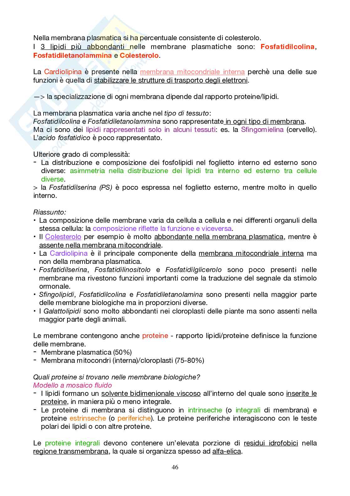 Appunti Biochimica 1 - Parte 2 - completi di immagini e schemi Pag. 46