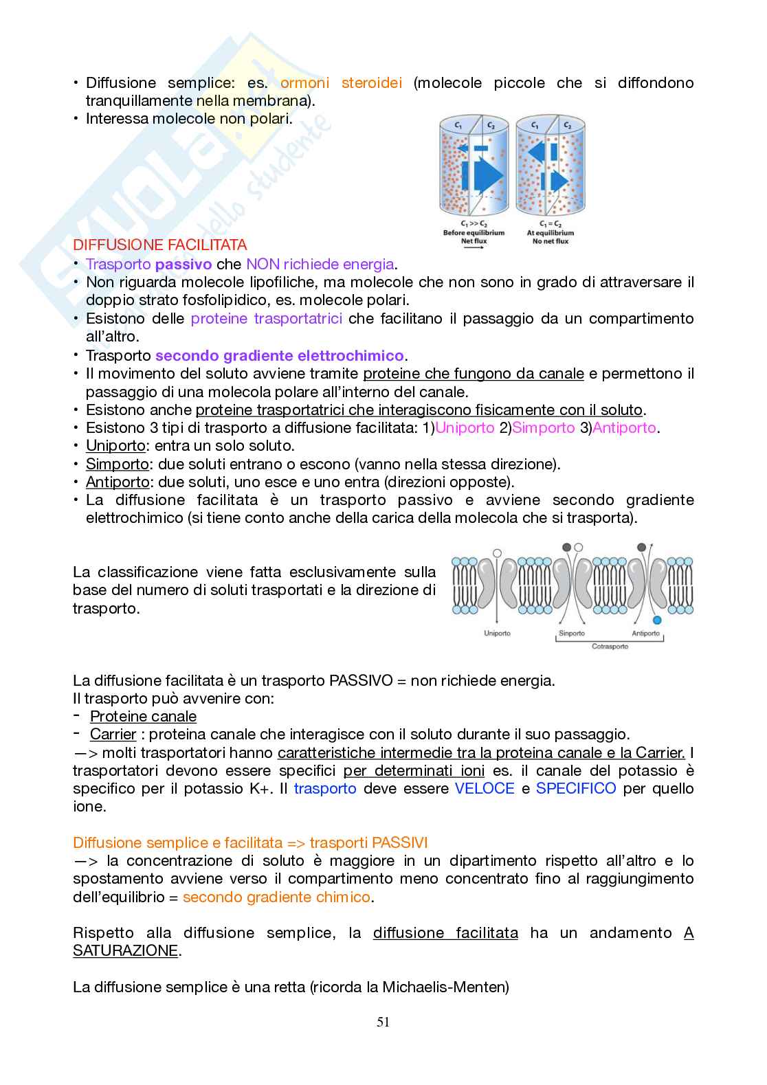 Appunti Biochimica 1 - Parte 2 - completi di immagini e schemi Pag. 51