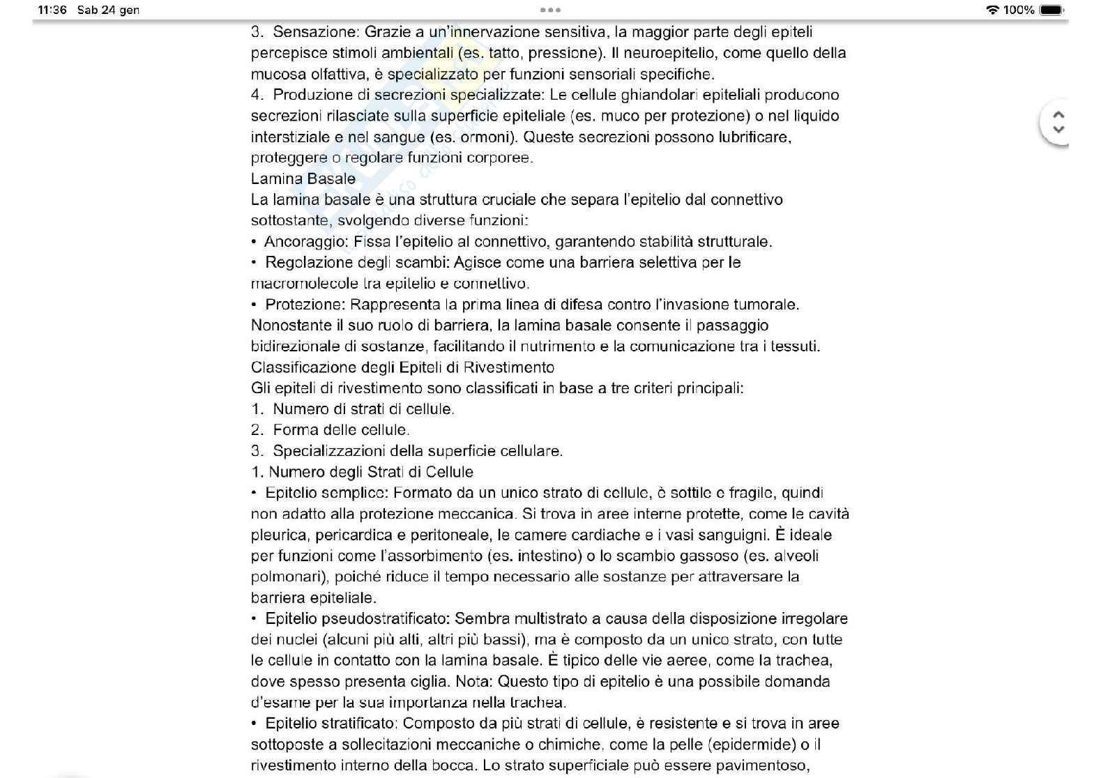 Tessuto epiteliale Pag. 2