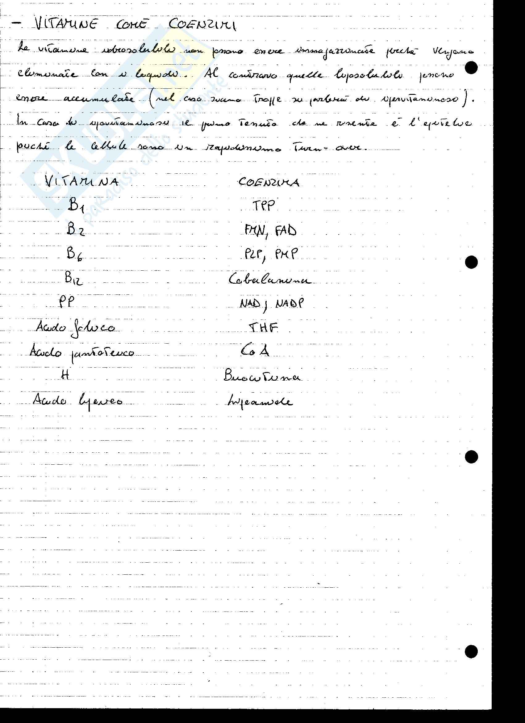 Appunti Biochimica Pag. 26