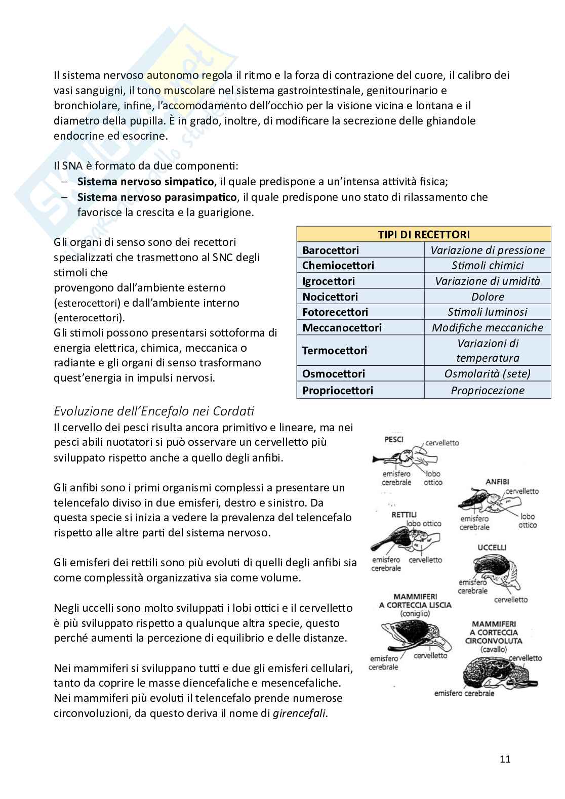 Biologia animale e zoologia Pag. 11