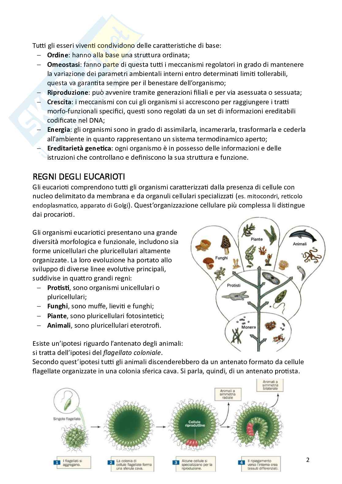 Biologia animale e zoologia Pag. 2