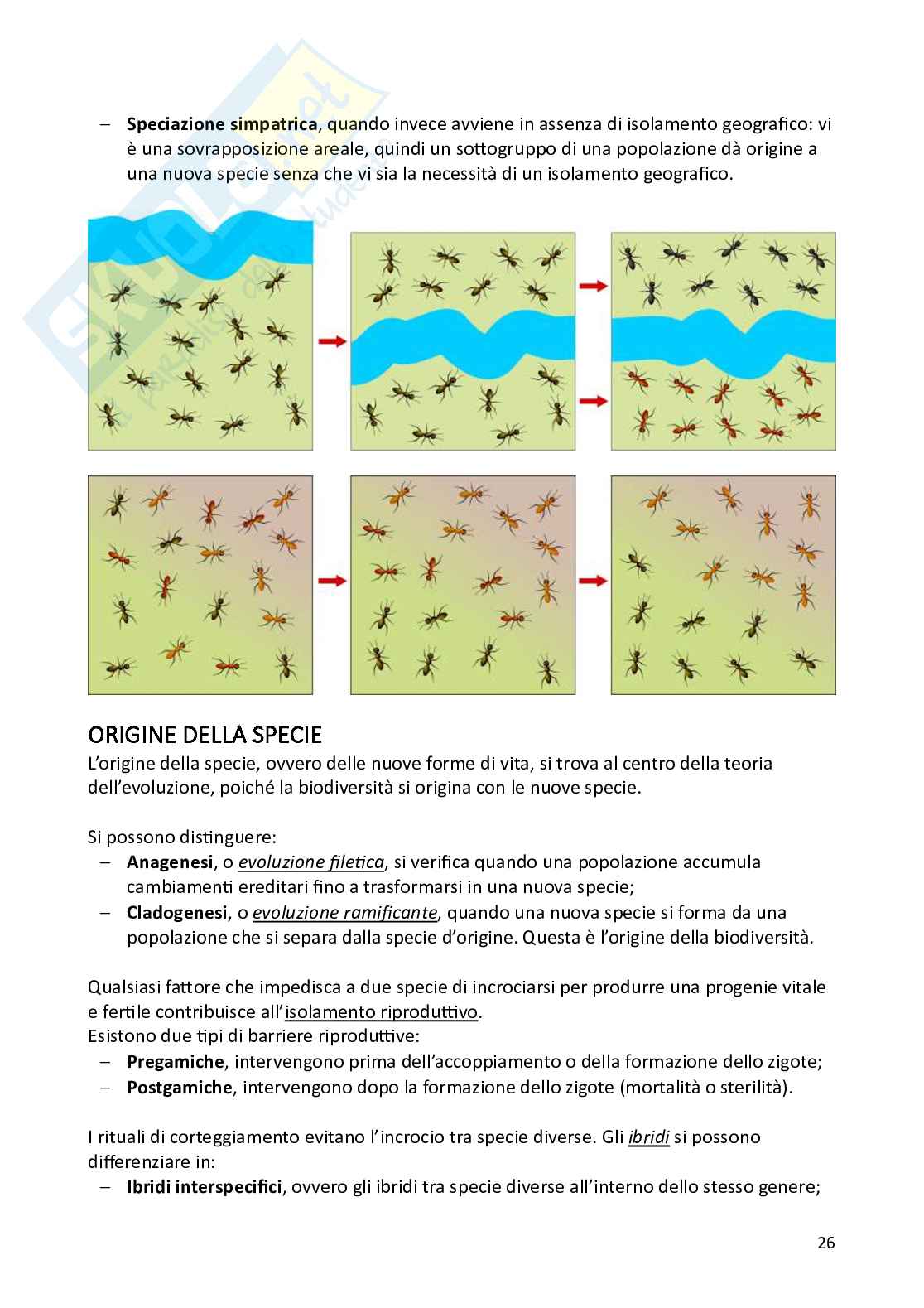 Biologia animale e zoologia Pag. 26