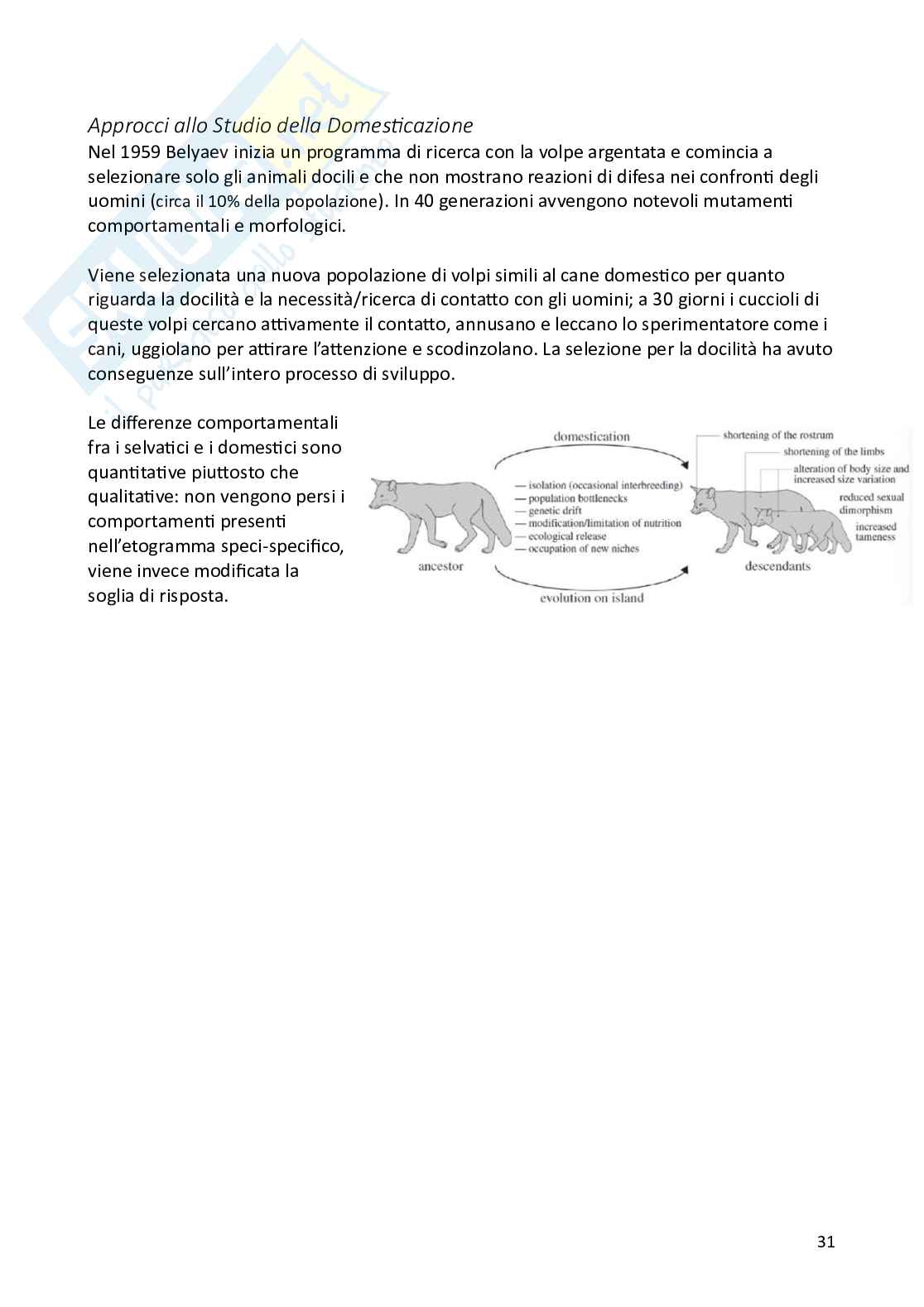 Biologia animale e zoologia Pag. 31