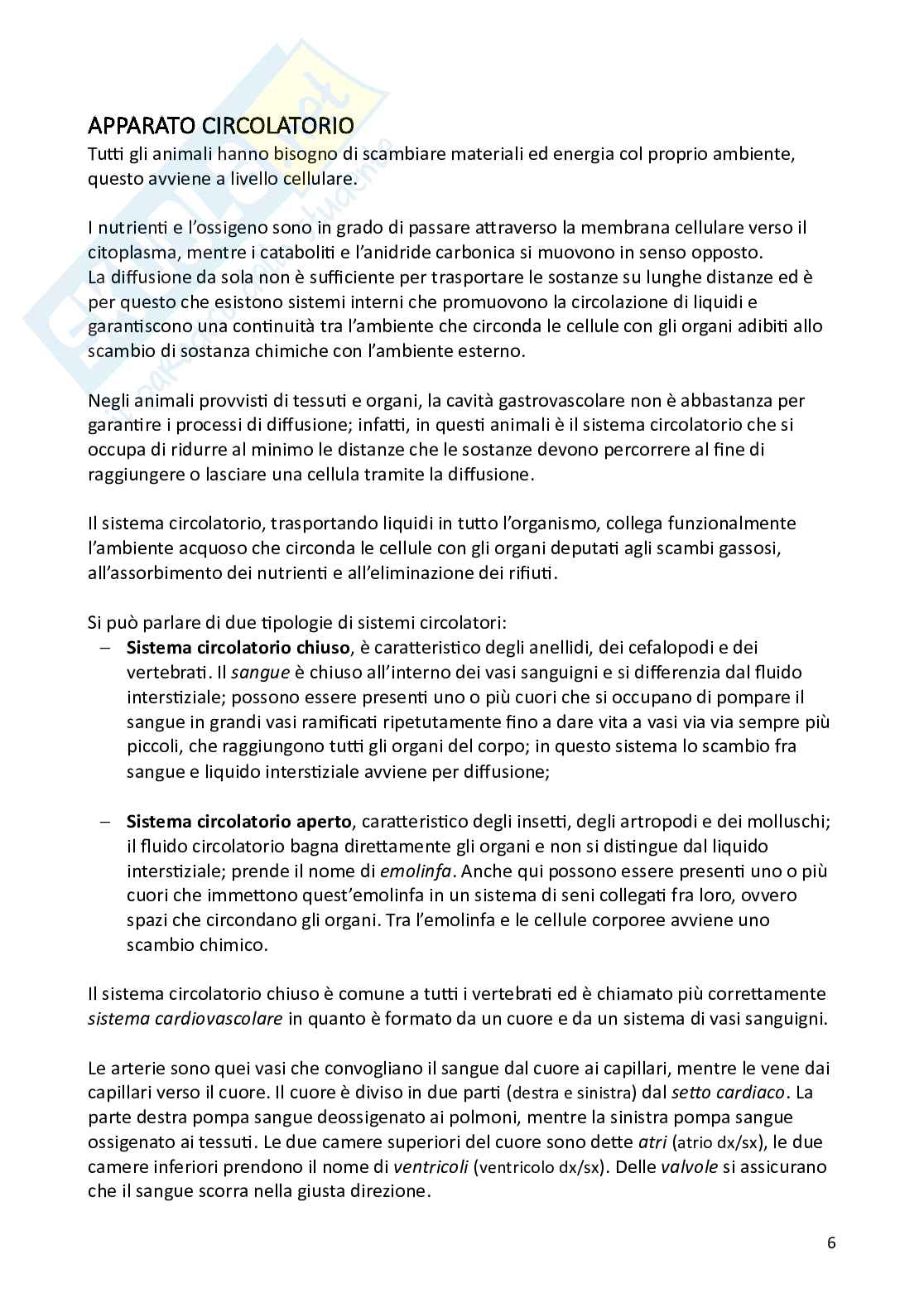 Biologia animale e zoologia Pag. 6