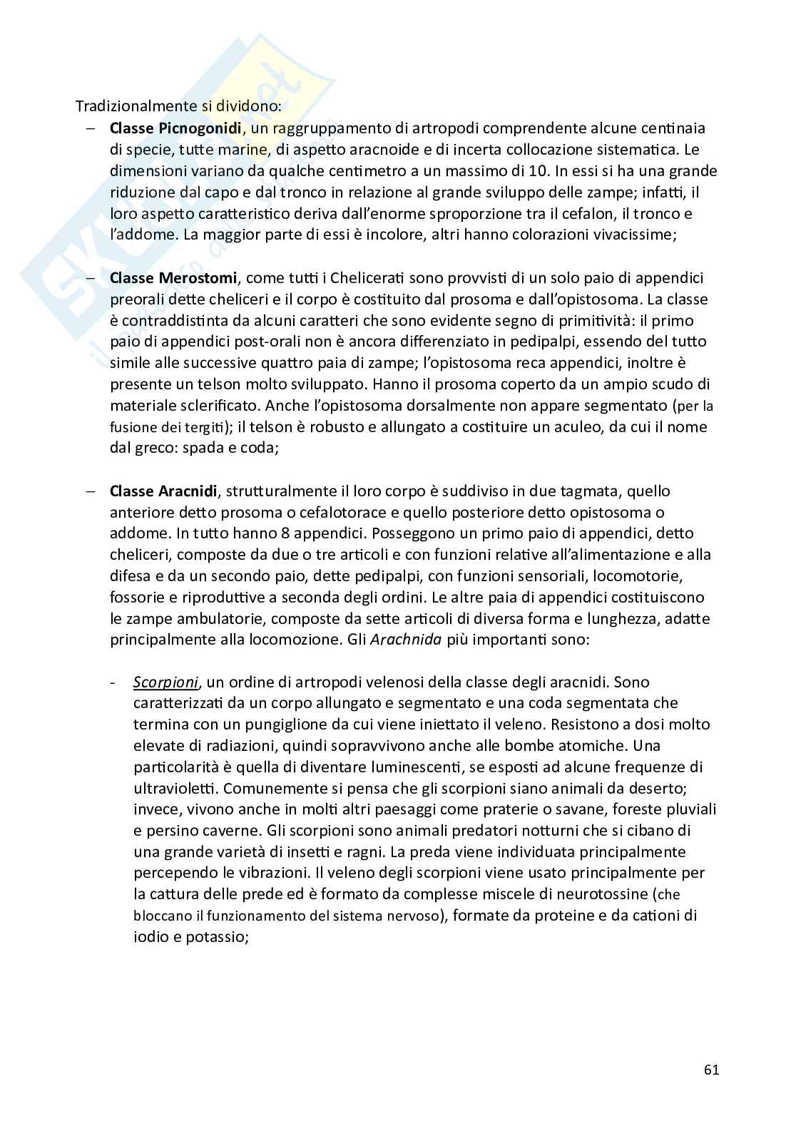 Biologia animale e zoologia Pag. 61
