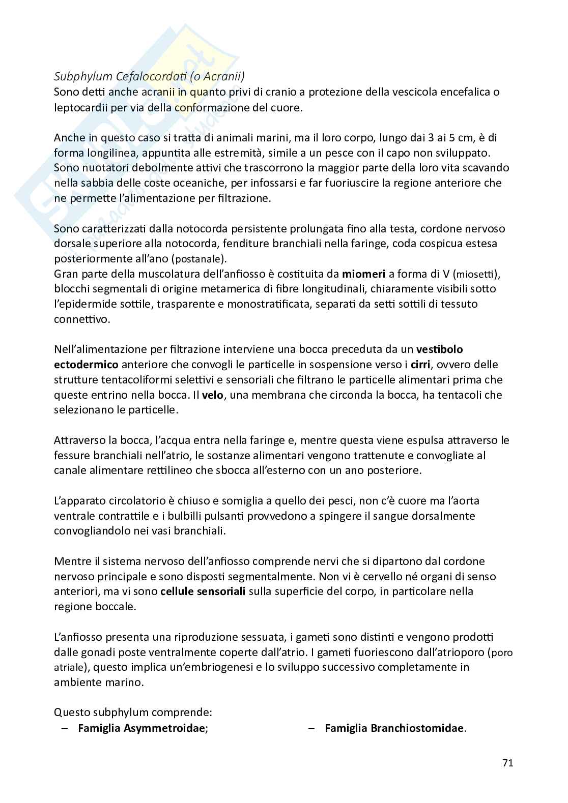 Biologia animale e zoologia Pag. 71