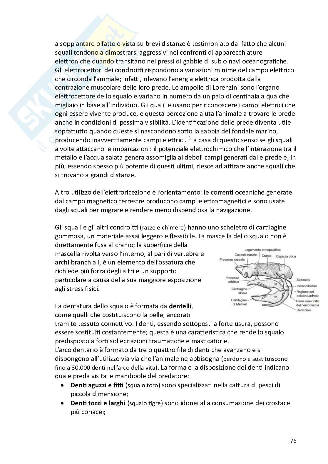 Biologia animale e zoologia Pag. 76