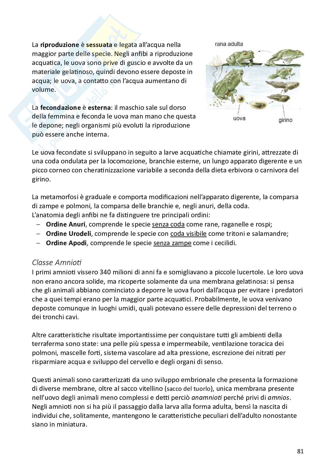 Biologia animale e zoologia Pag. 81