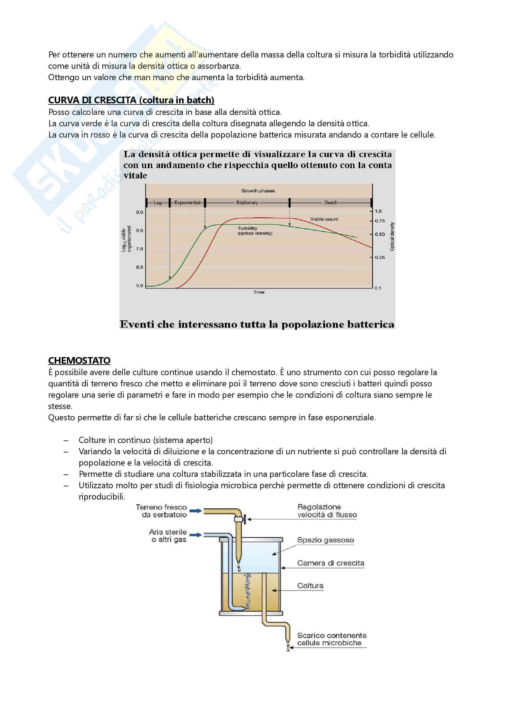 Appunti esame microbiologia Pag. 66
