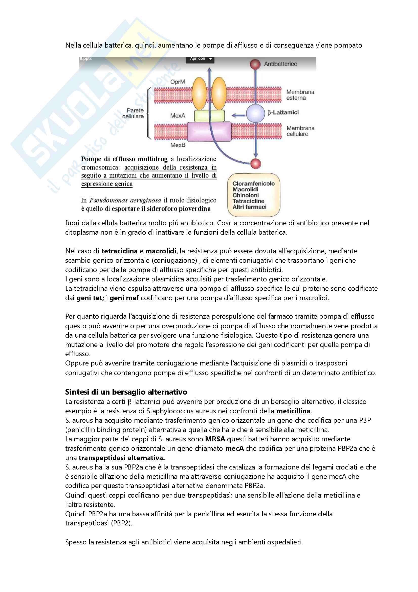 Appunti esame microbiologia Pag. 91