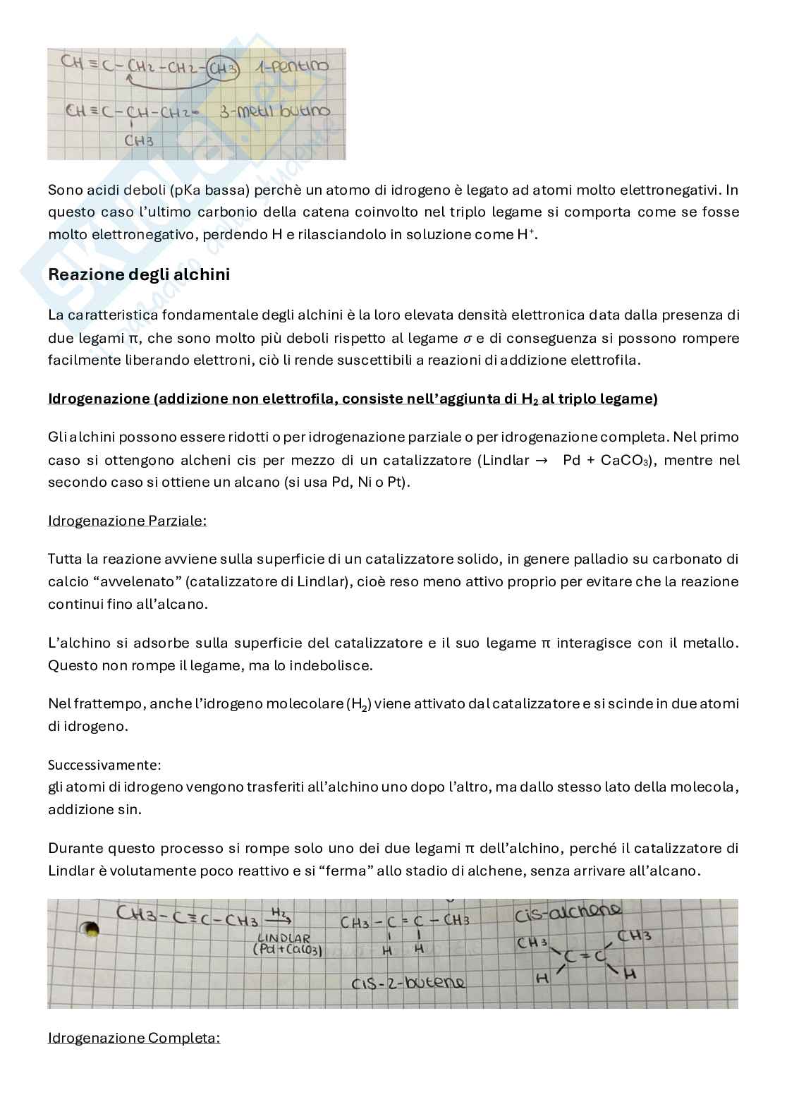 Alchini Pag. 2
