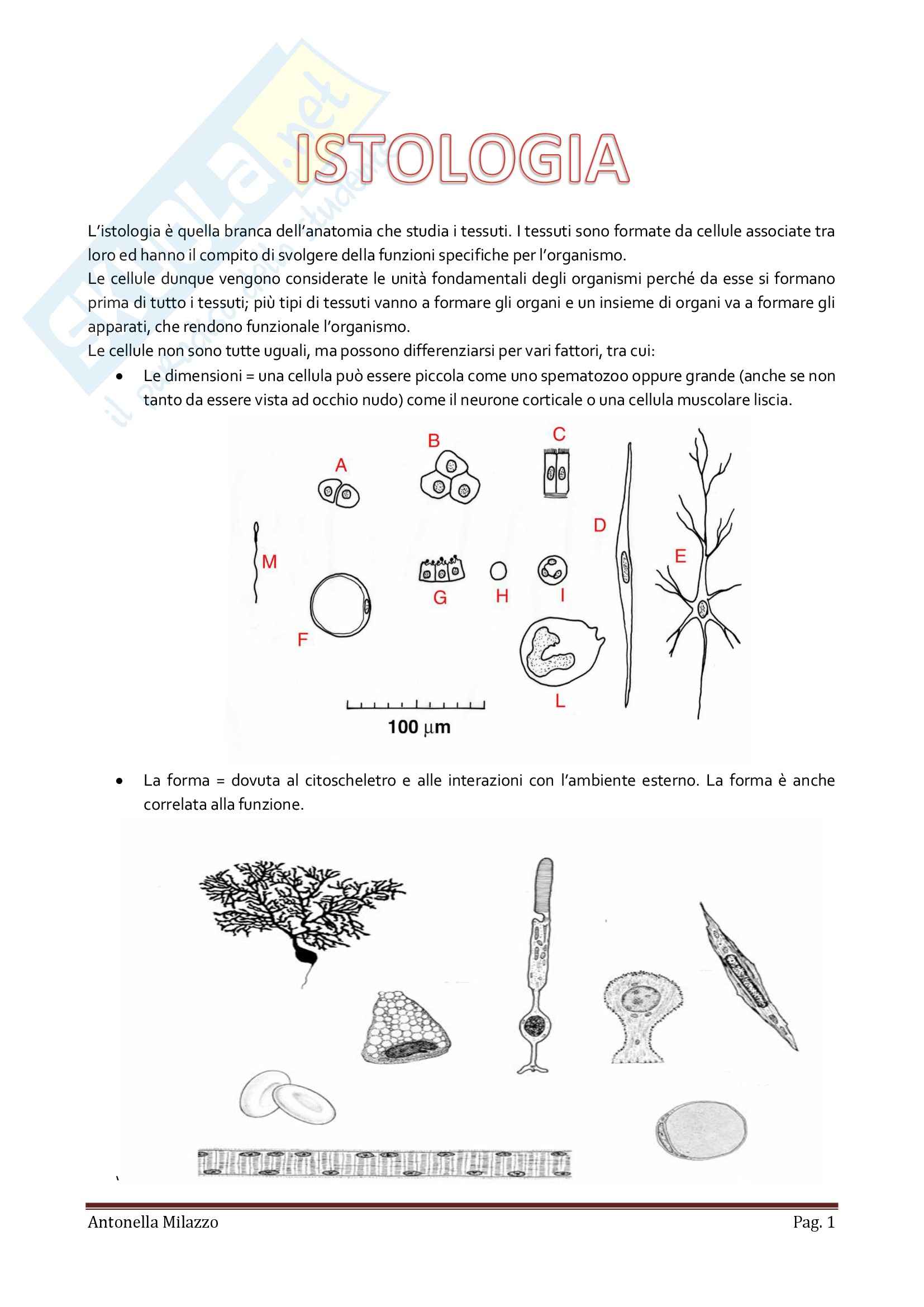 Istologia, Anatomia e fisiologia Pag. 1