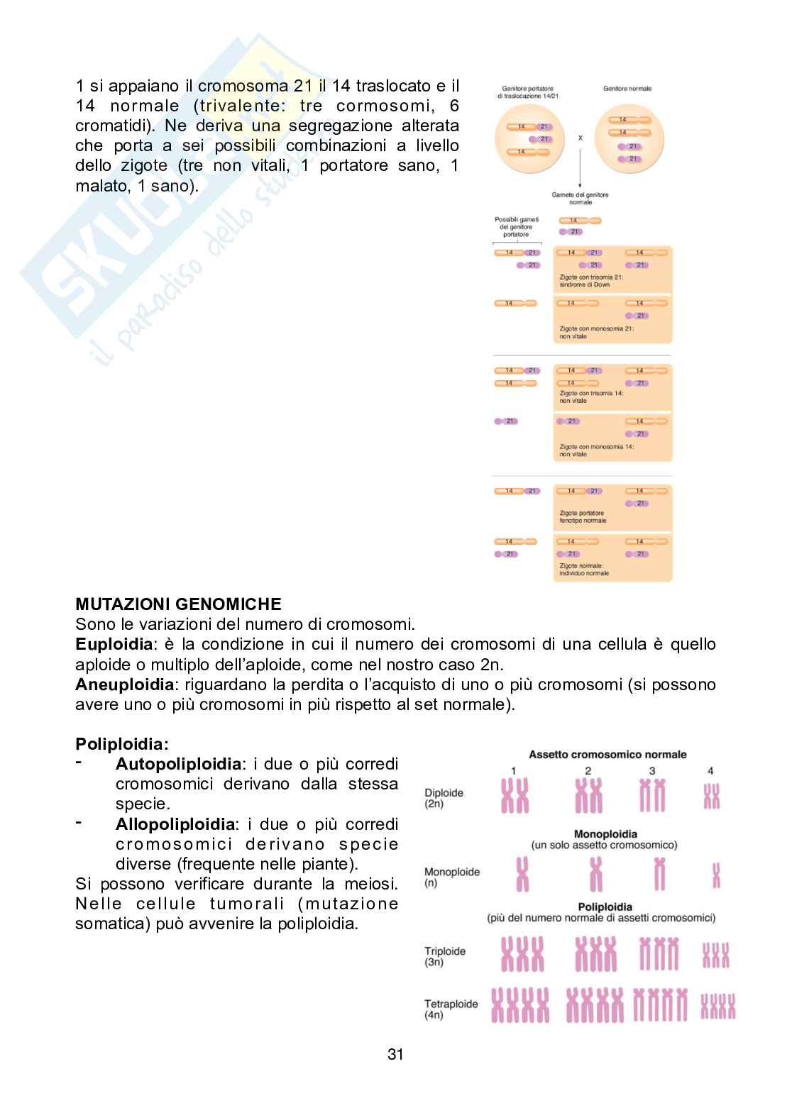 Biologia - Unità 4  Pag. 31