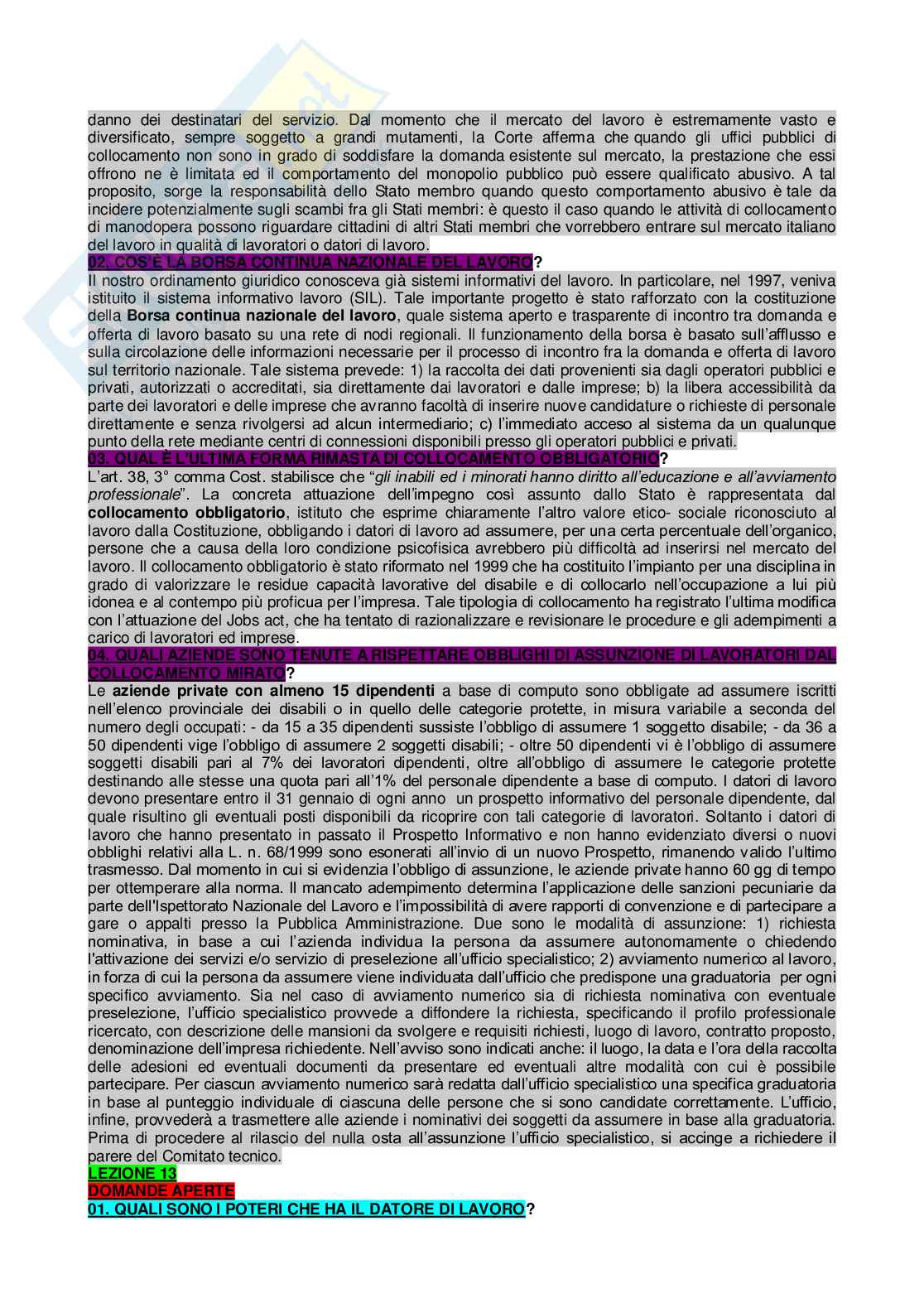 Paniere di Diritto del lavoro completo - Domande aperte e chiuse Pag. 26