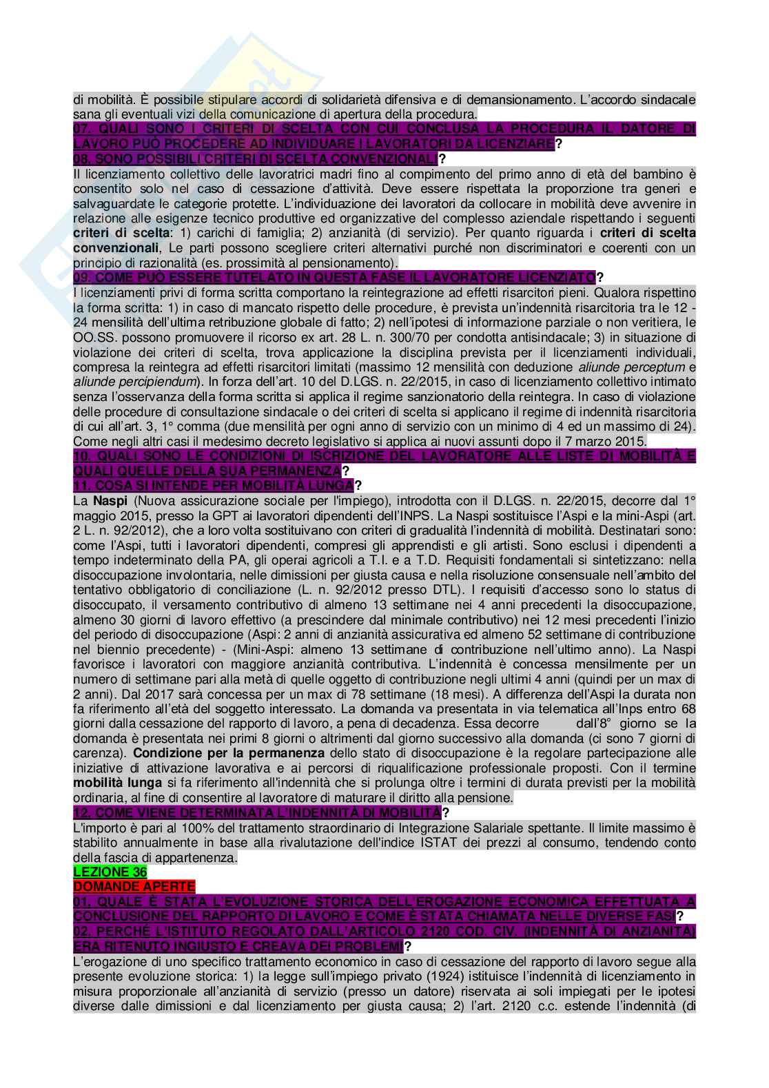 Paniere di Diritto del lavoro completo - Domande aperte e chiuse Pag. 66