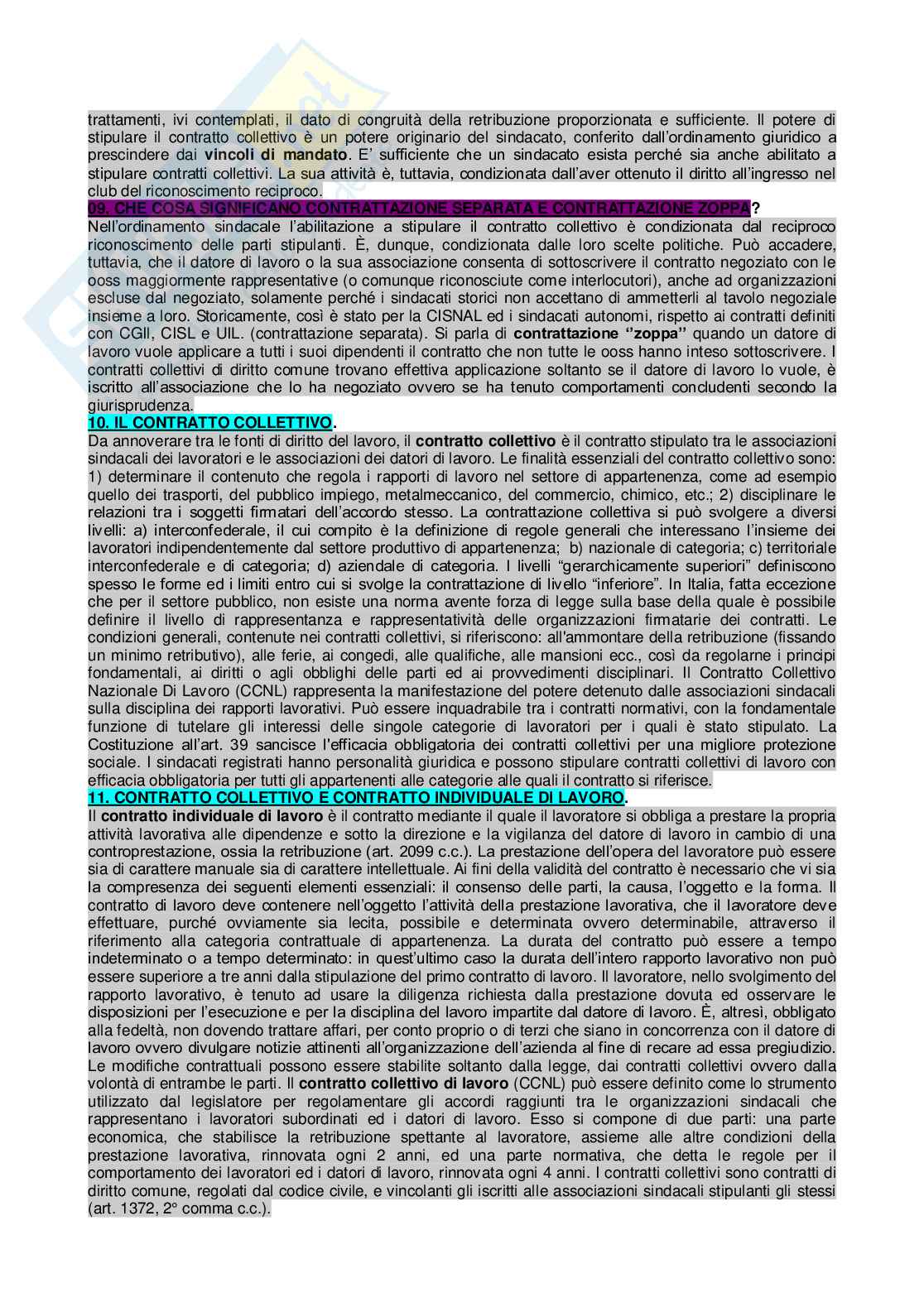 Paniere di Diritto del lavoro completo - Domande aperte e chiuse Pag. 81