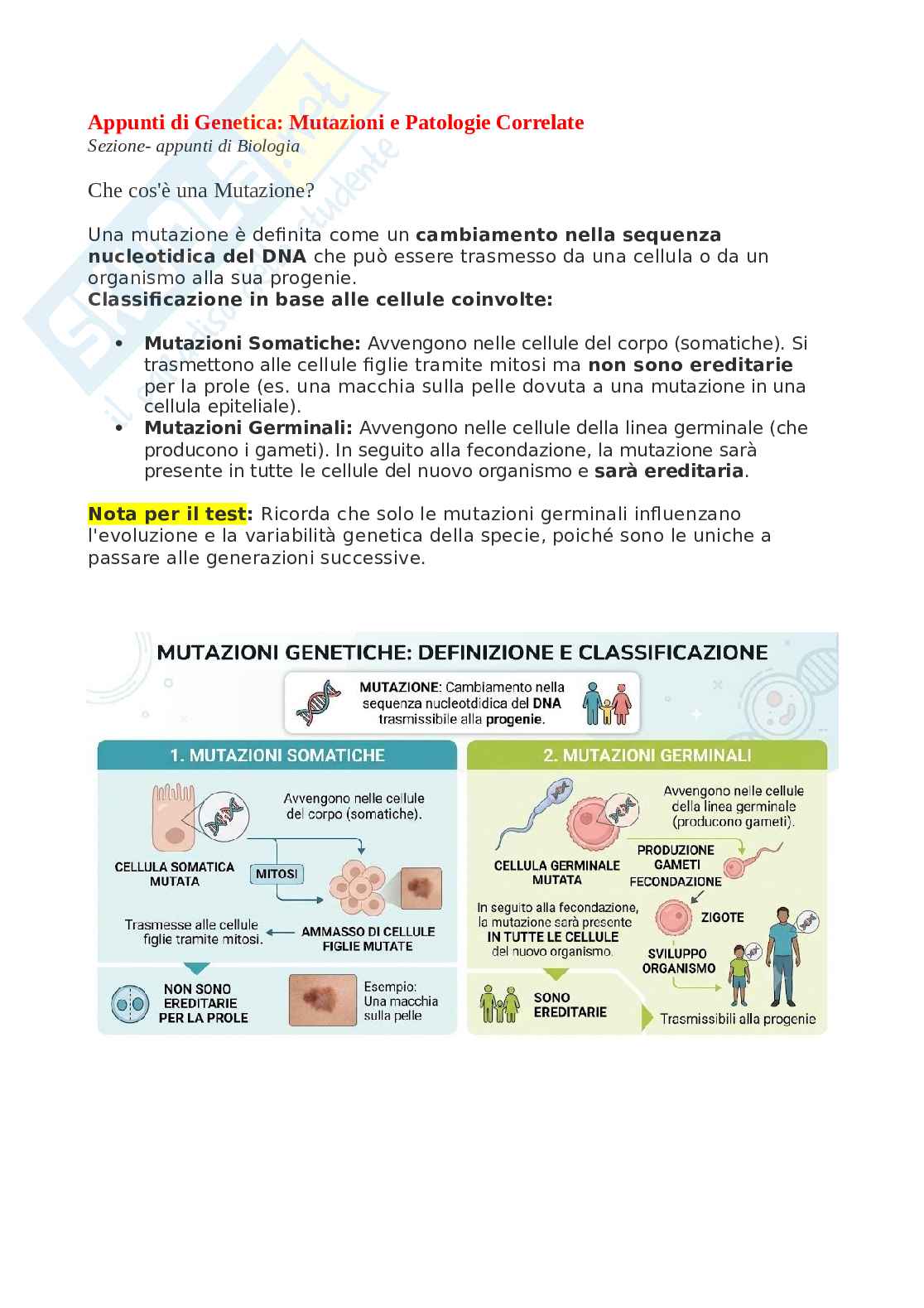 Biologia, chimica - Mutazioni Pag. 1