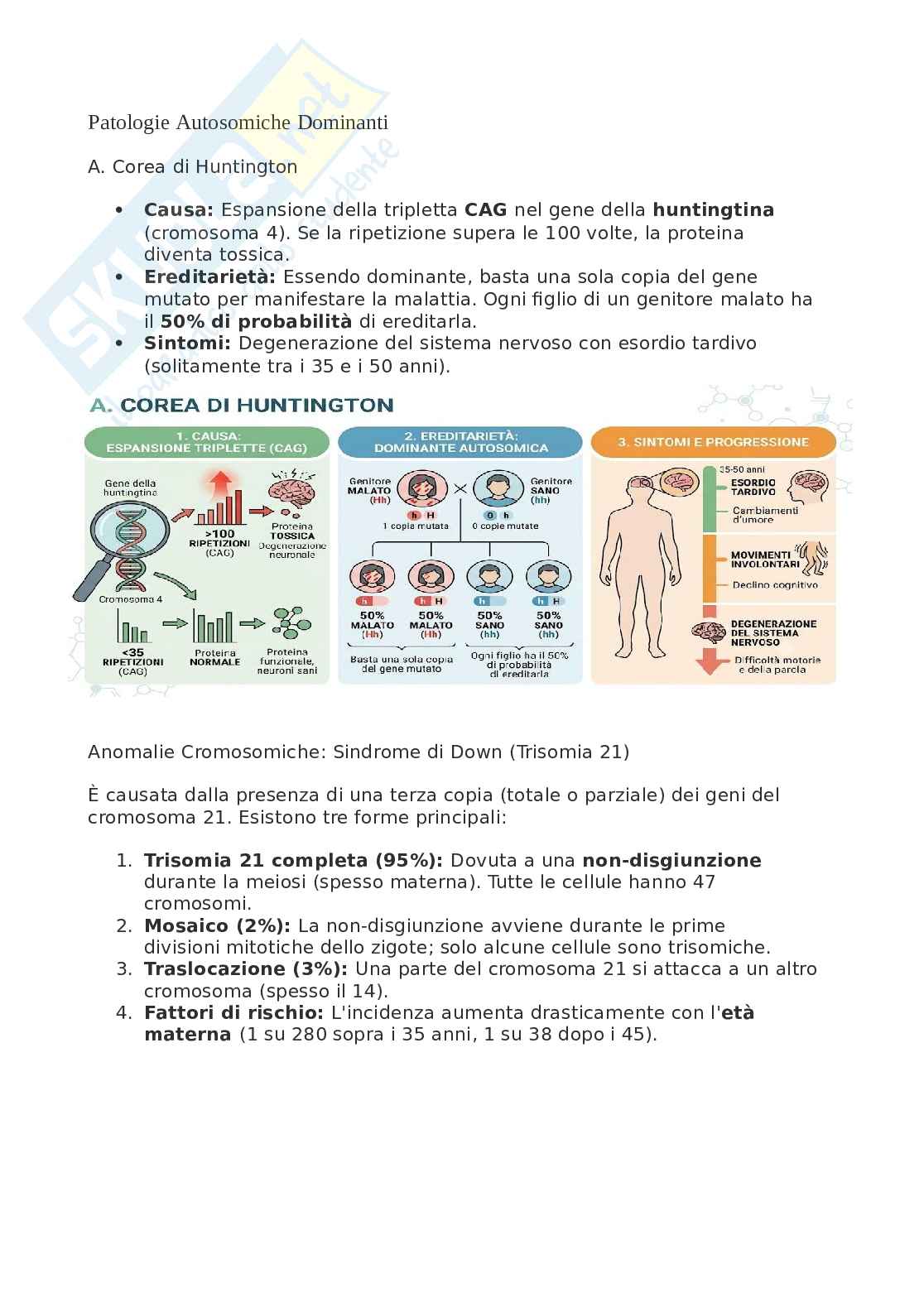 Biologia, chimica - Mutazioni Pag. 11