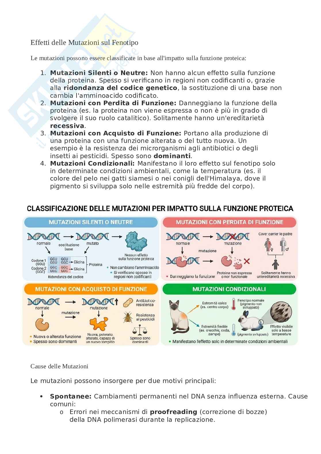 Biologia, chimica - Mutazioni Pag. 2
