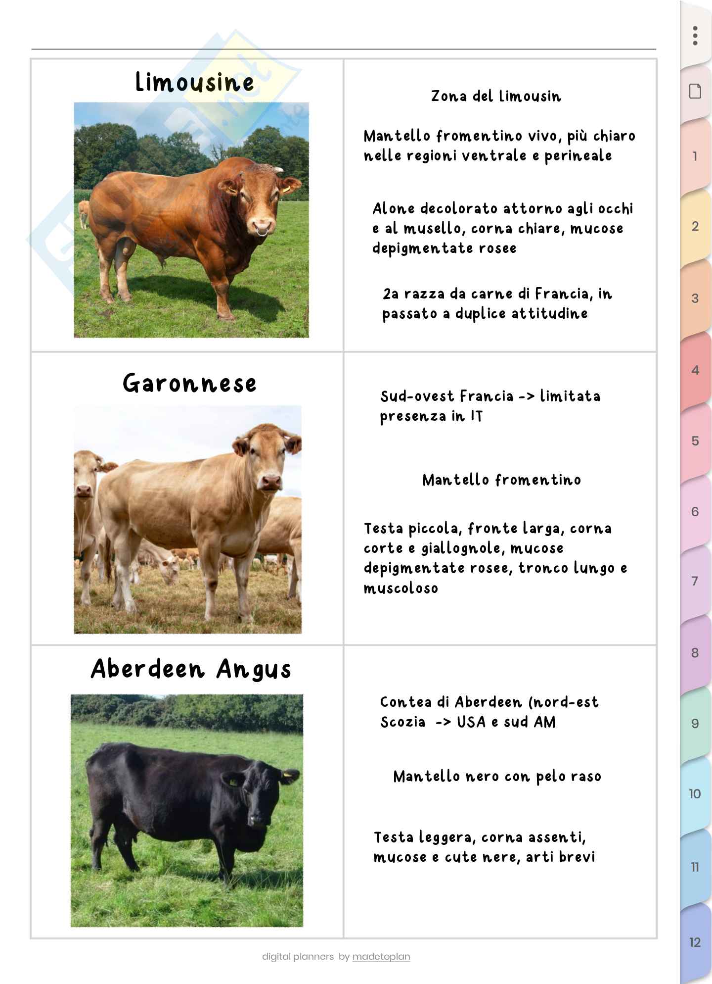 Bovini  Pag. 11
