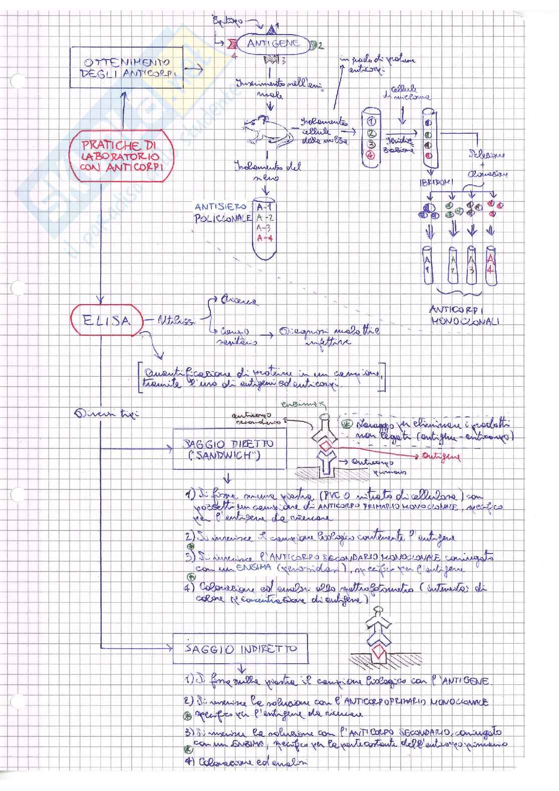 Biochimica, schemi mappe concettuali Pag. 56