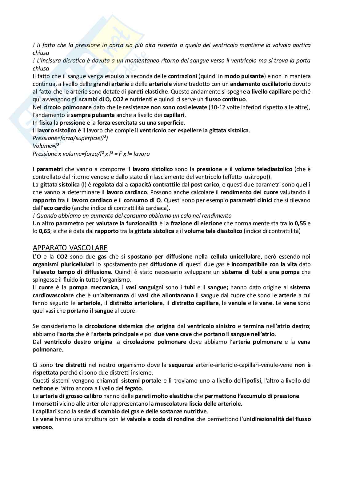 Riassunto Fisiologia - preparazione esame Pag. 16