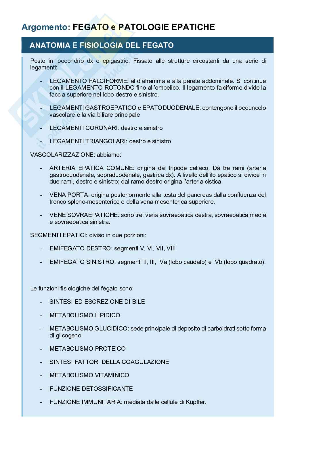 Fegato (anatomia chirurgica, semeiotica, chirurgia epatica) e tumori Pag. 1