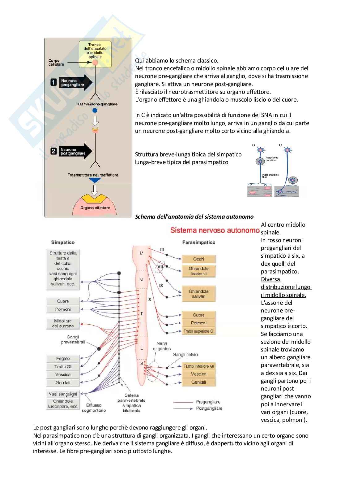 Farmacologia e farmacoterapia Pag. 11