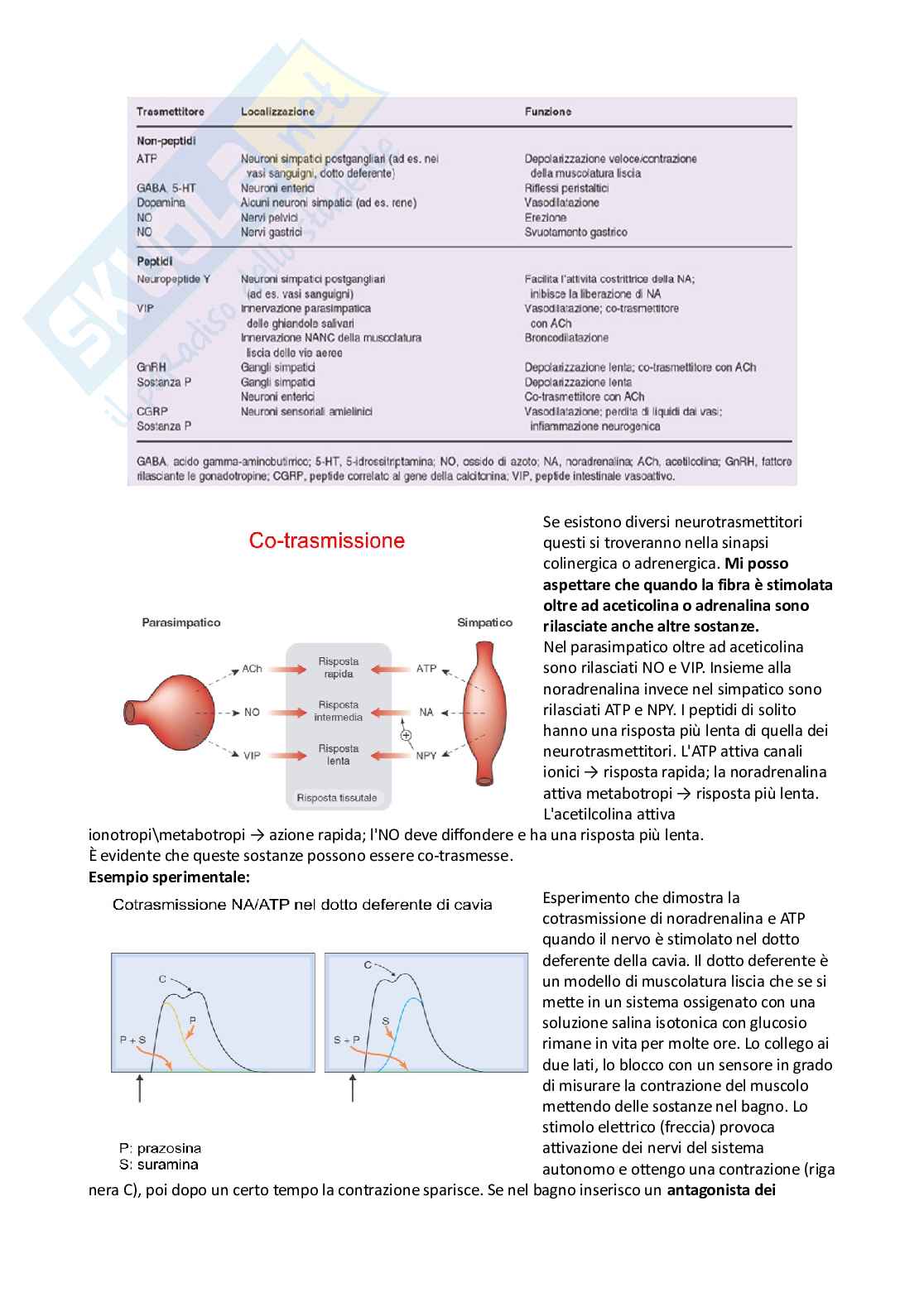 Farmacologia e farmacoterapia Pag. 16