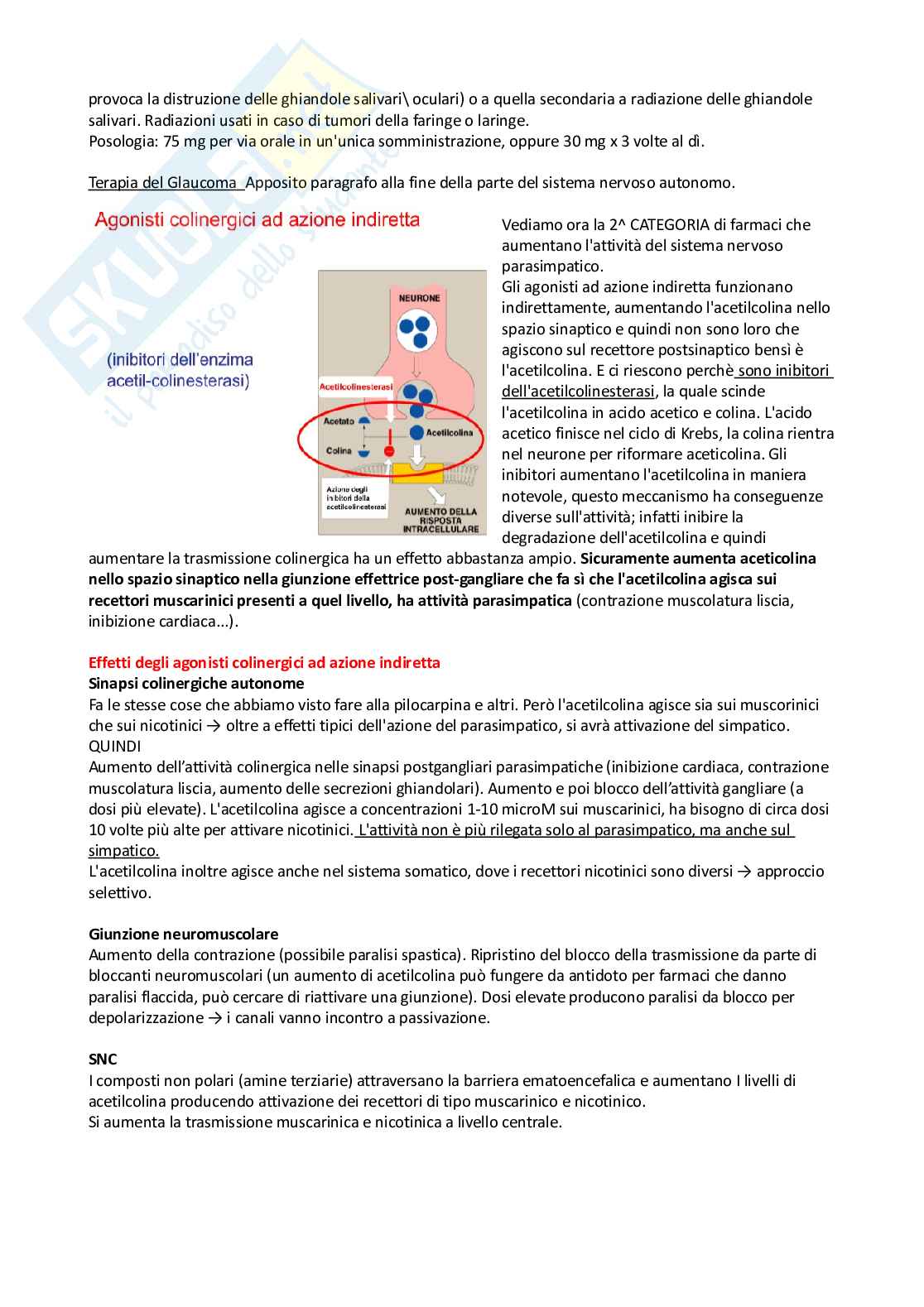 Farmacologia e farmacoterapia Pag. 26