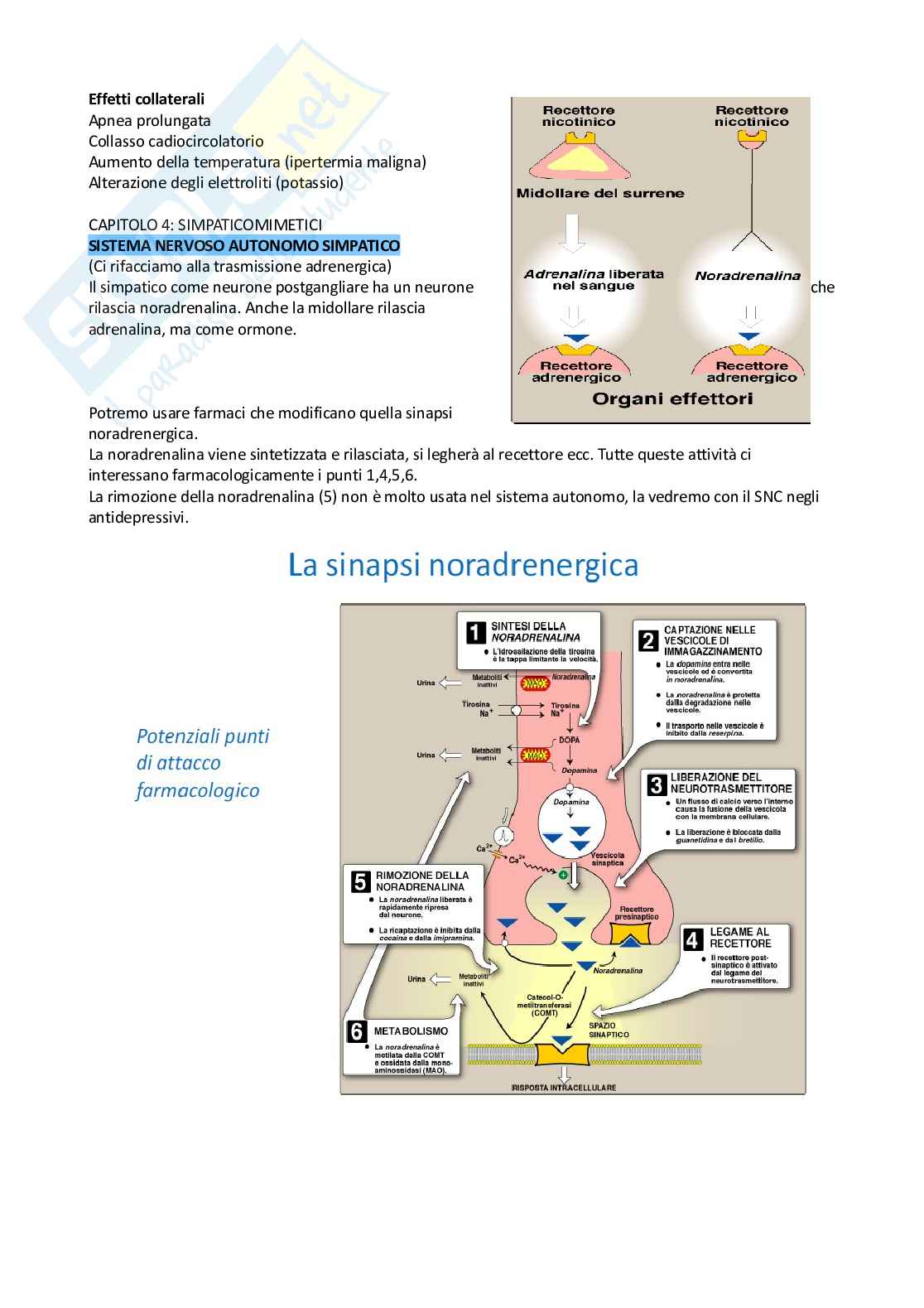 Farmacologia e farmacoterapia Pag. 41