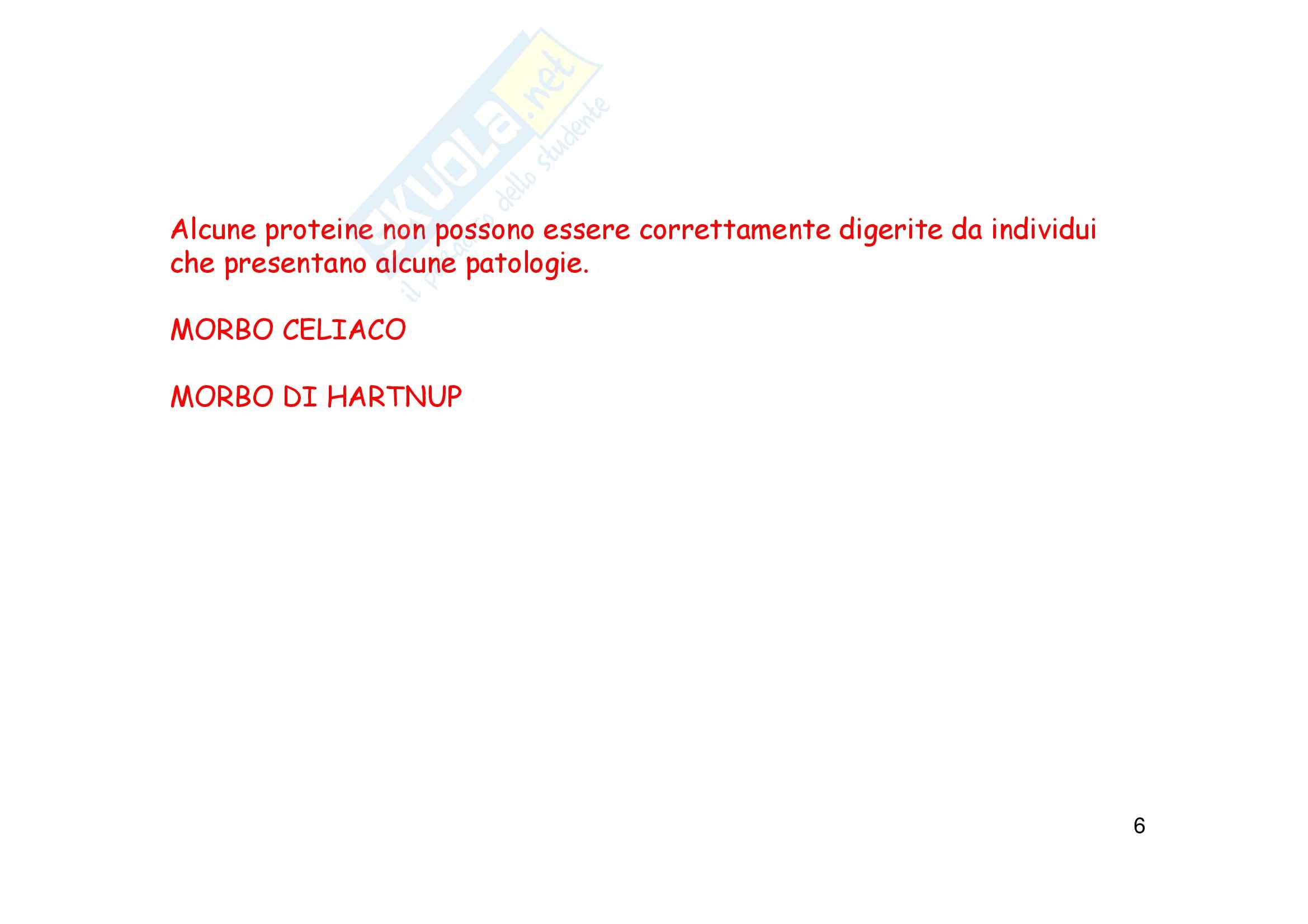 Biochimica e biologia molecolare - processo metabolico degli amminoacidi Pag. 6