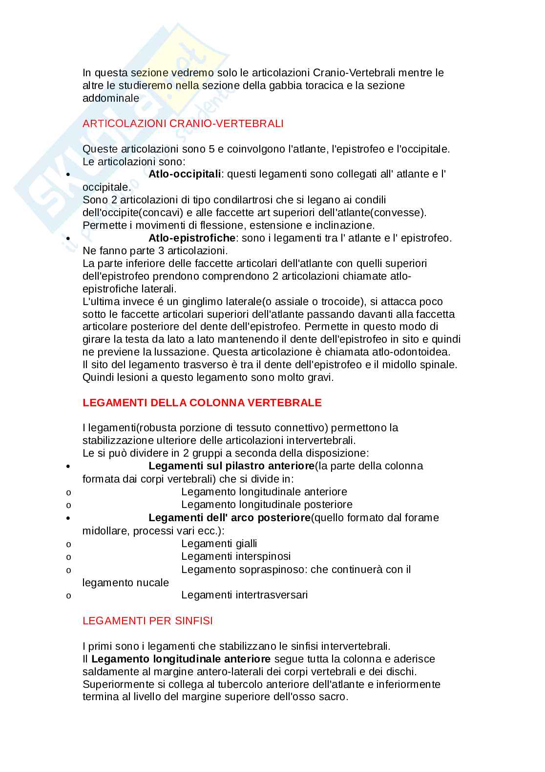 Rachide 1-2-3-patologie/no immagini Pag. 6