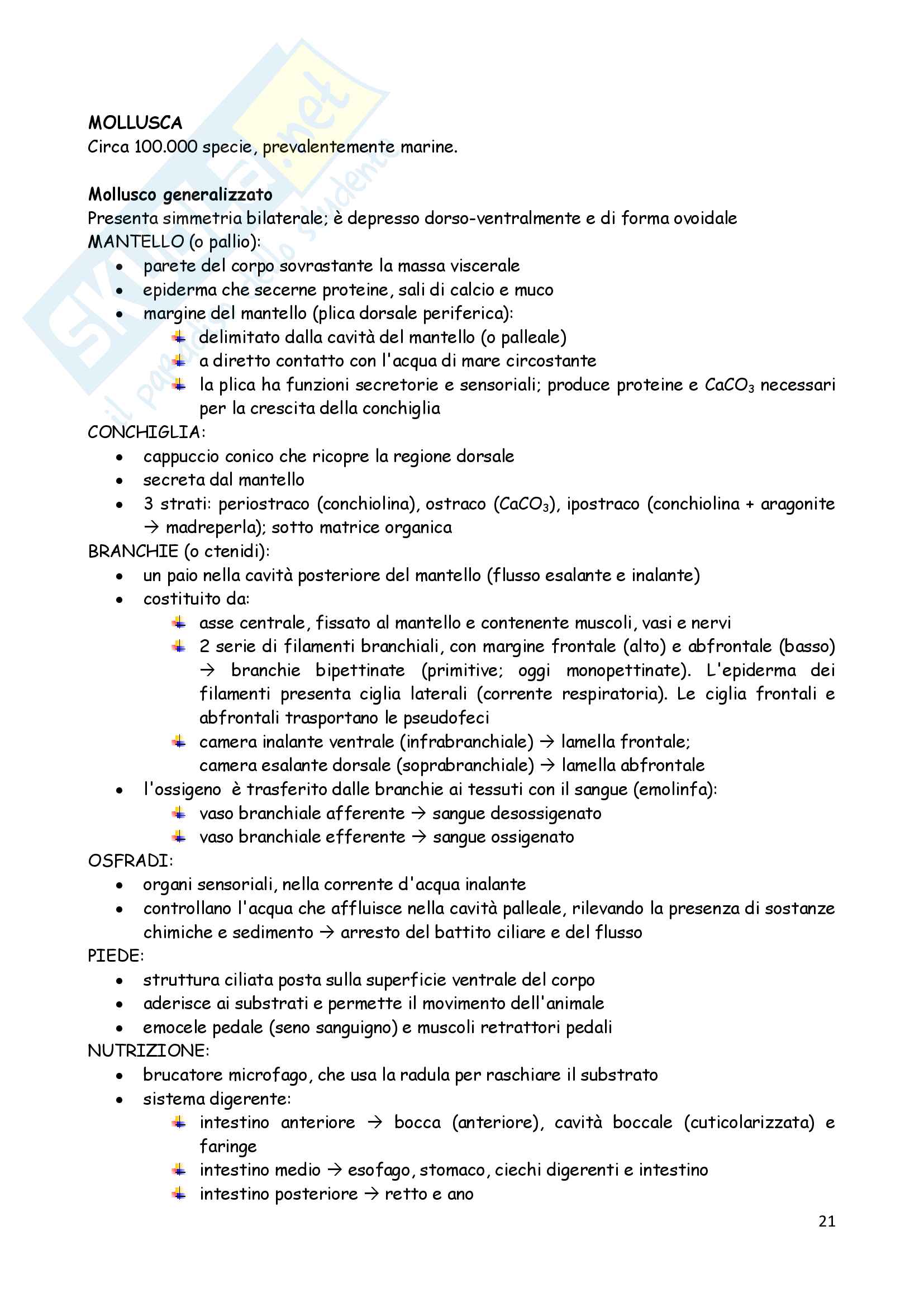 Zoologia degli Invertebrati Pag. 21