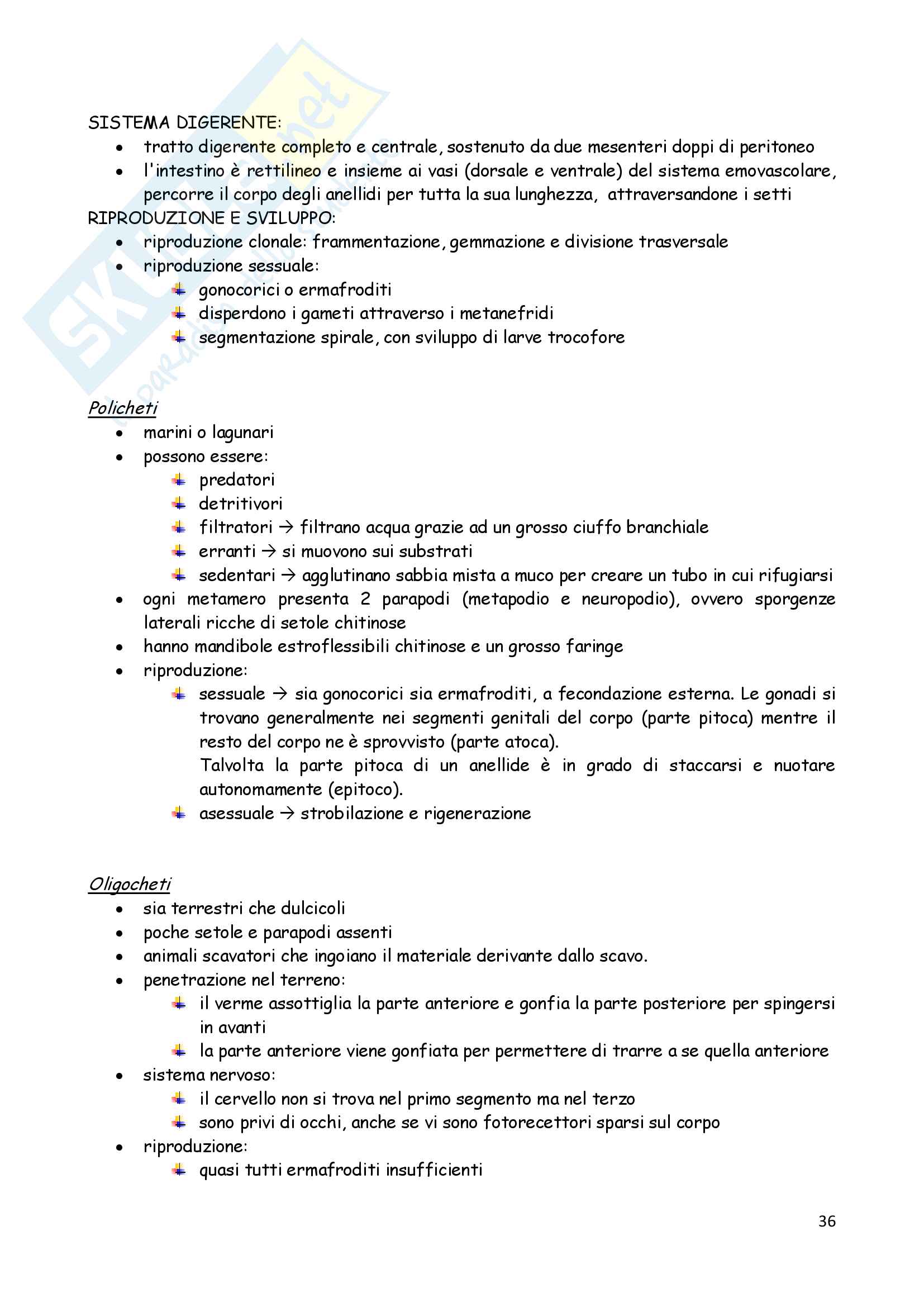 Zoologia degli Invertebrati Pag. 36