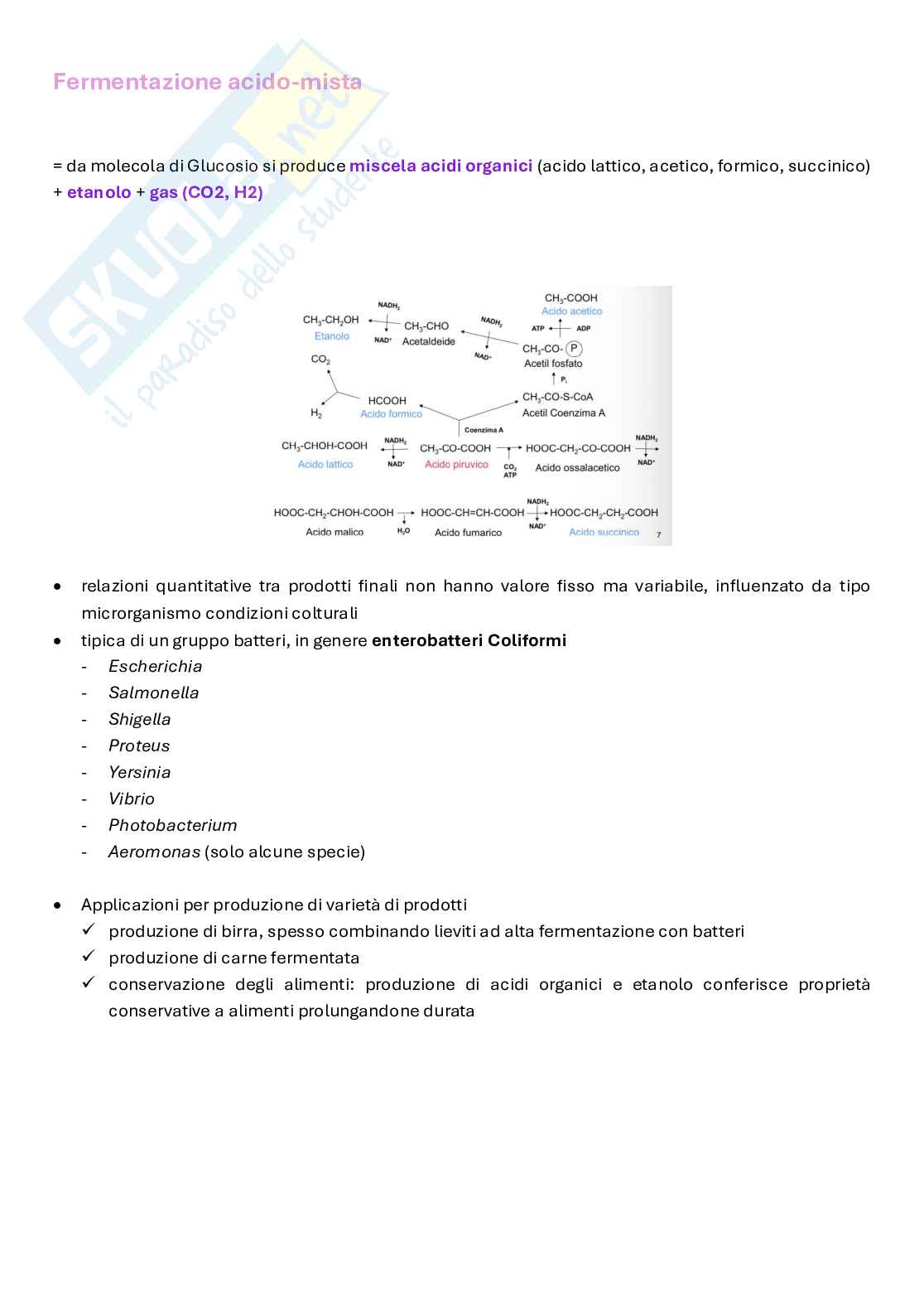 Biotecnologie delle fermentazioni appunti completi Pag. 11