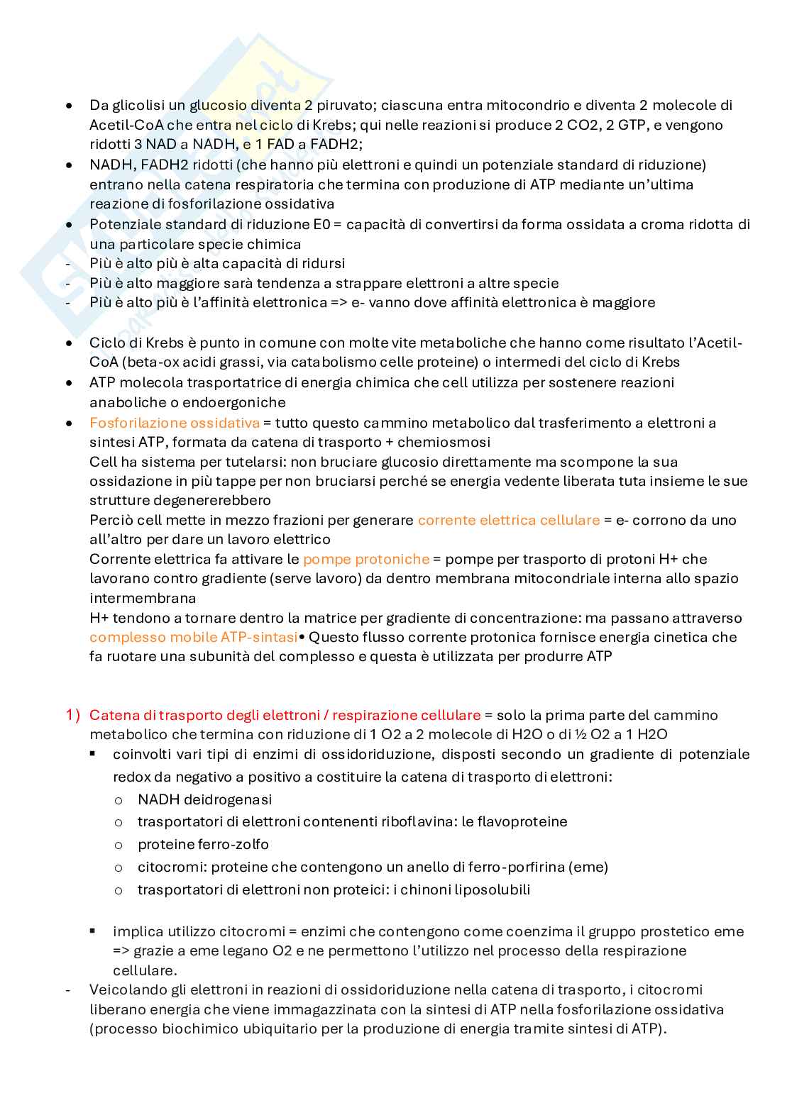 Biotecnologie delle fermentazioni appunti completi Pag. 16