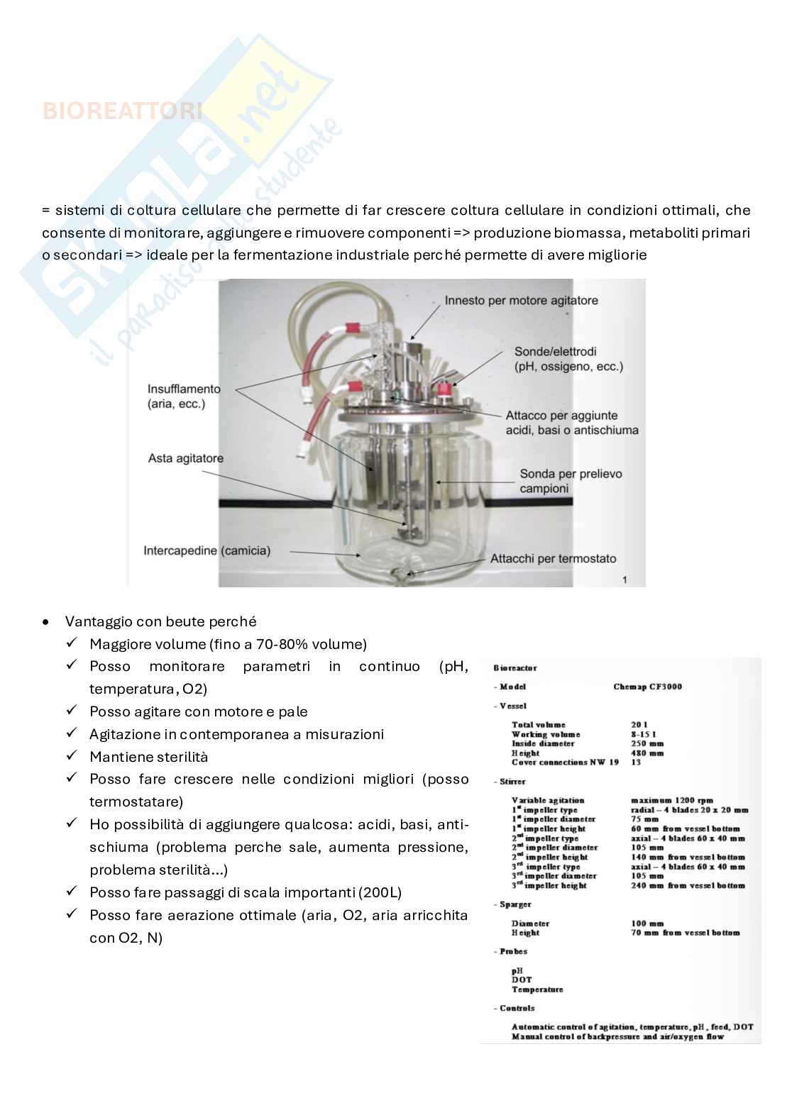 Biotecnologie delle fermentazioni appunti completi Pag. 31
