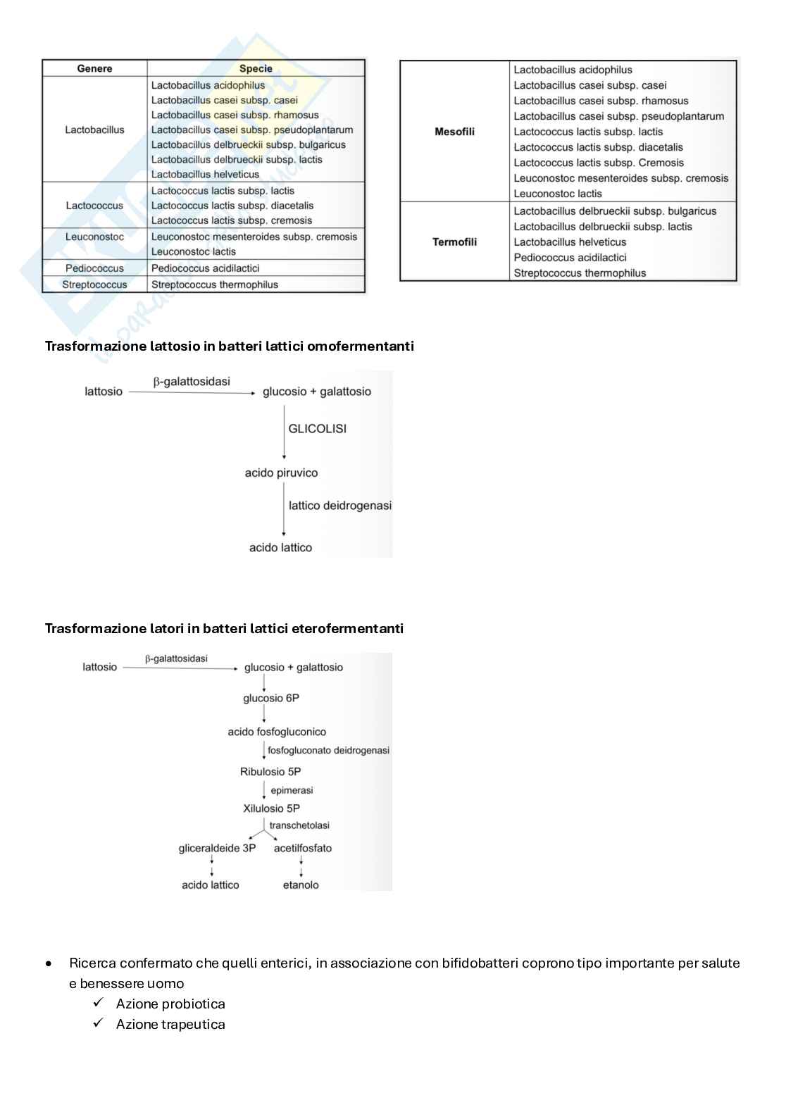 Biotecnologie delle fermentazioni appunti completi Pag. 36