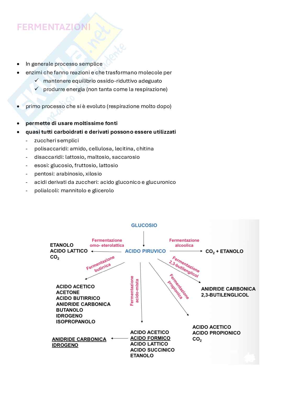 Biotecnologie delle fermentazioni appunti completi Pag. 6