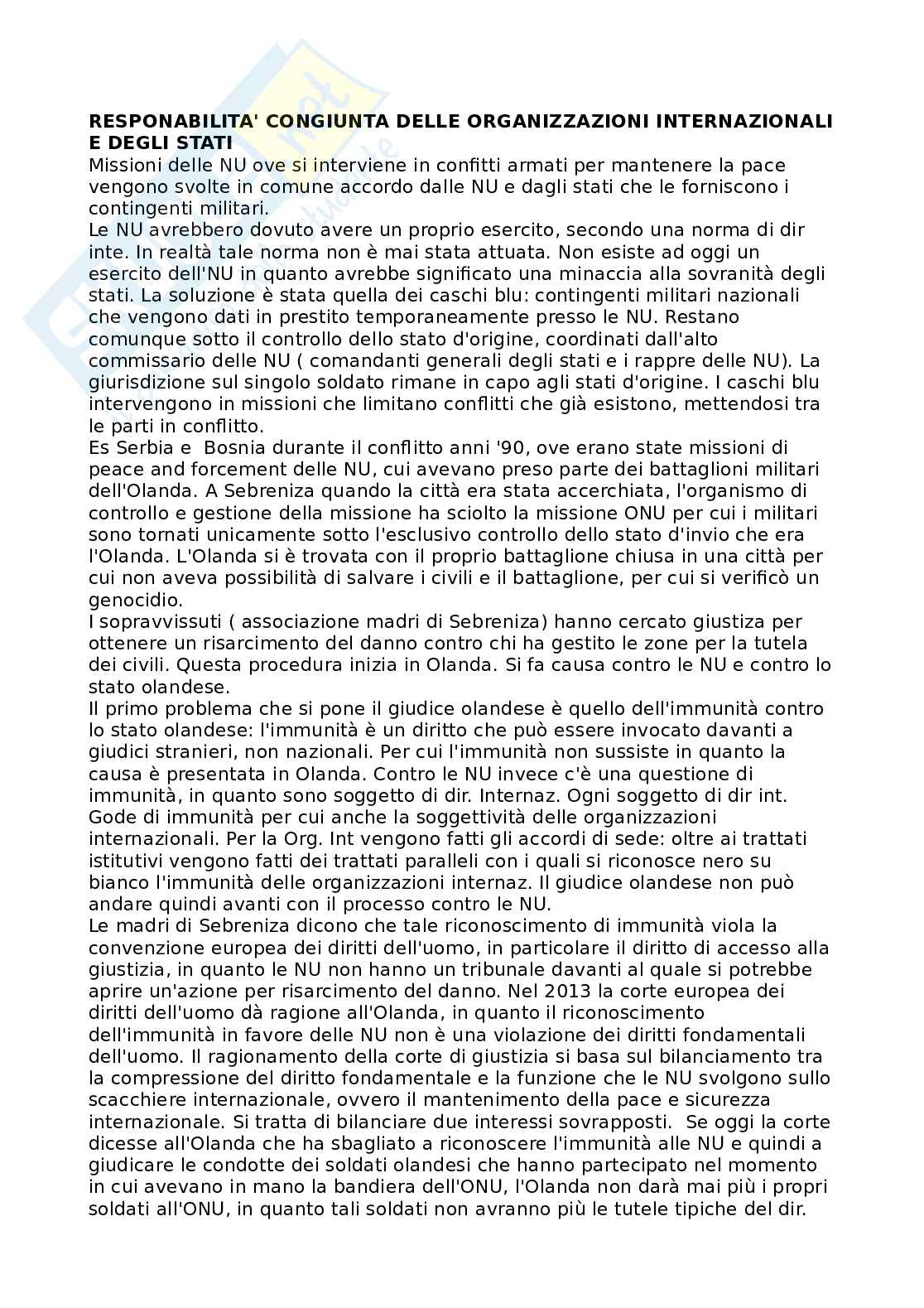 Diritto internazionale Pag. 51