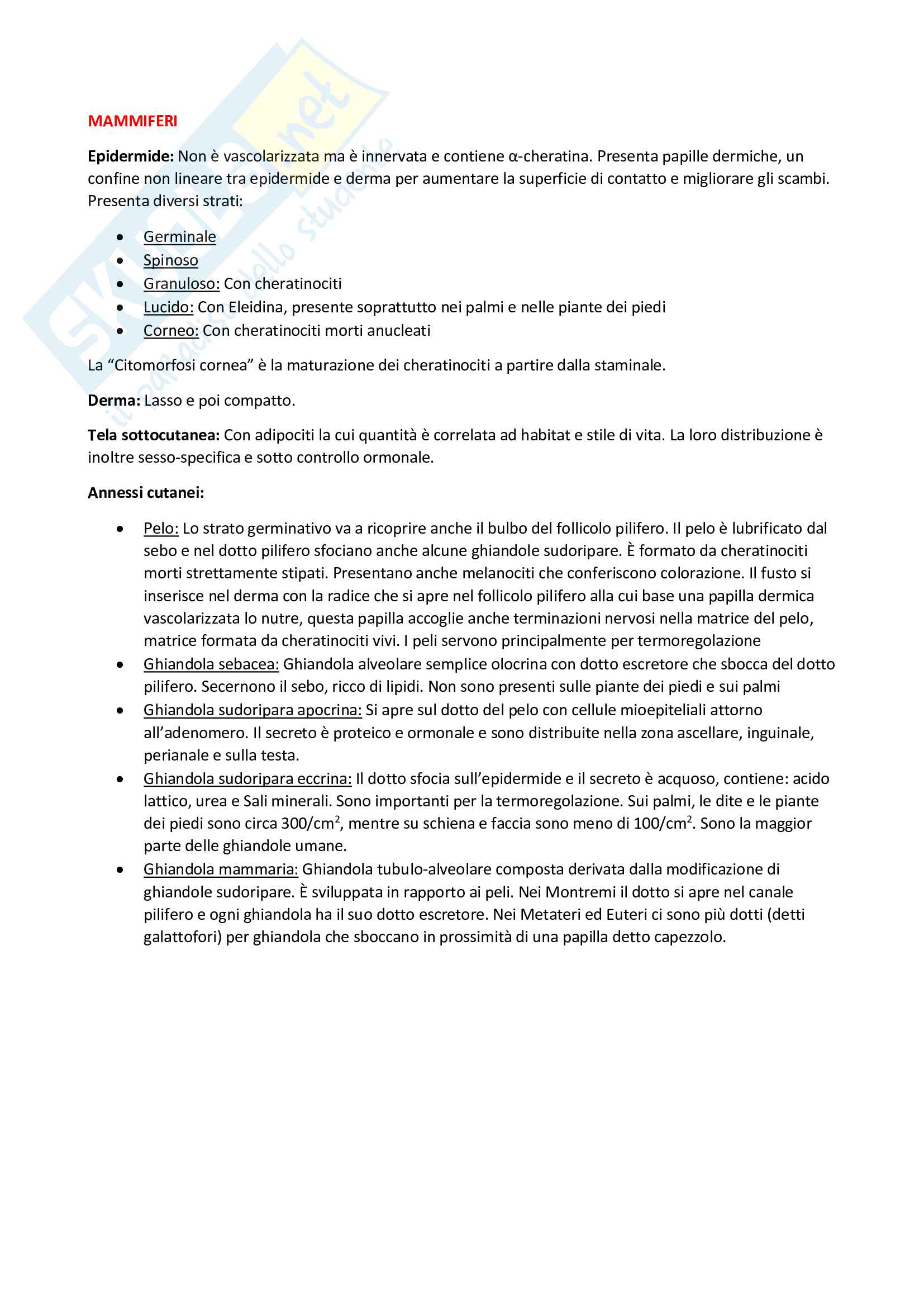 Anatomia Comparata, prof. Colombo Pag. 16