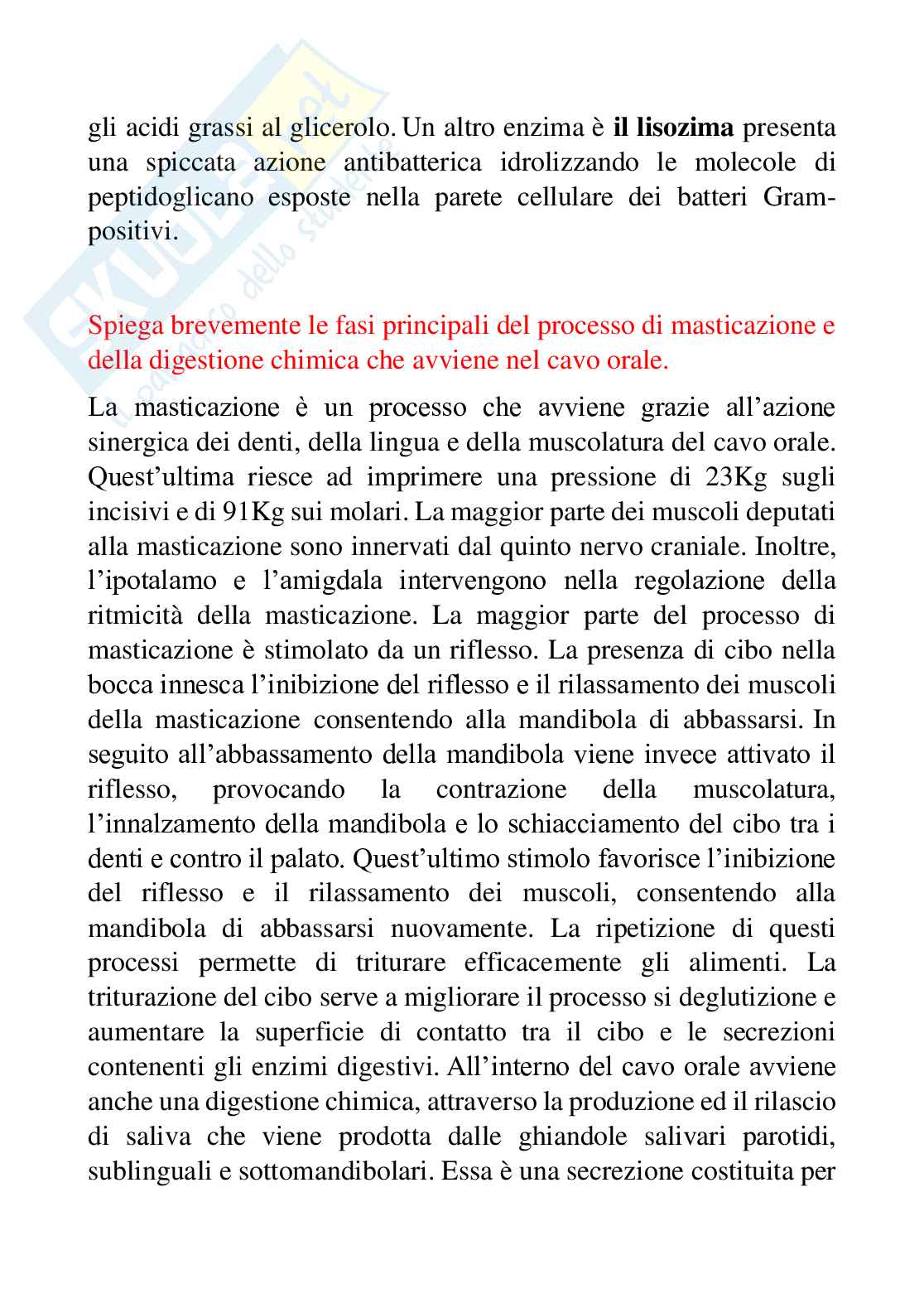 Domande aperte Fisiologia dei nutrienti Pag. 16