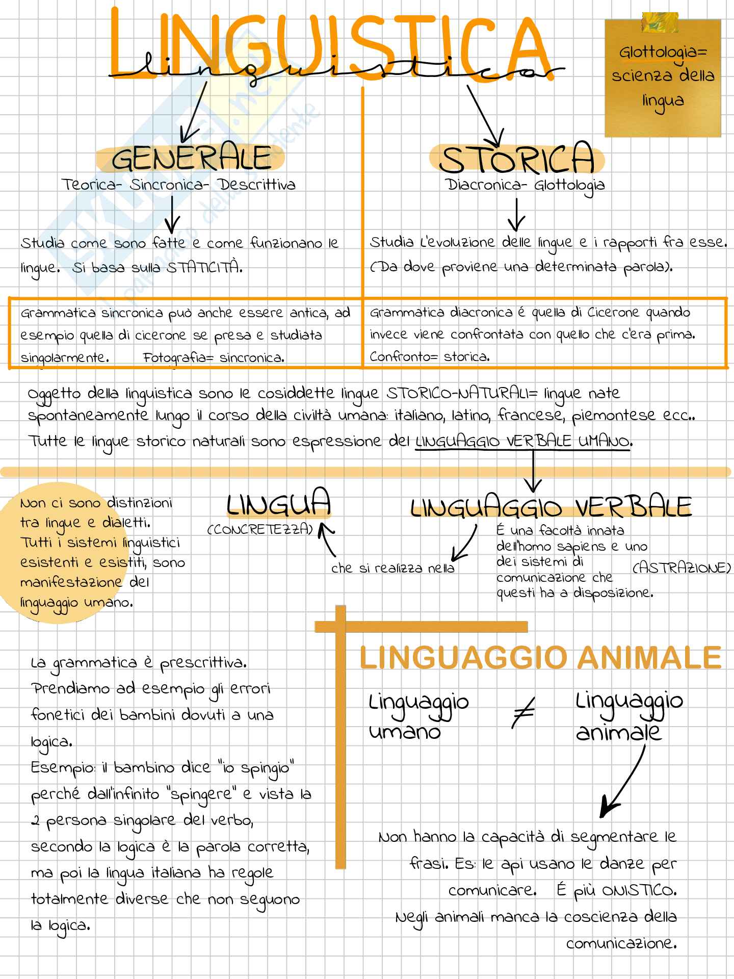 Riassunto esame Linguistica generale, Prof. Pozza Marianna, libro consigliato La linguistica , Berruto, Cerruti Pag. 2
