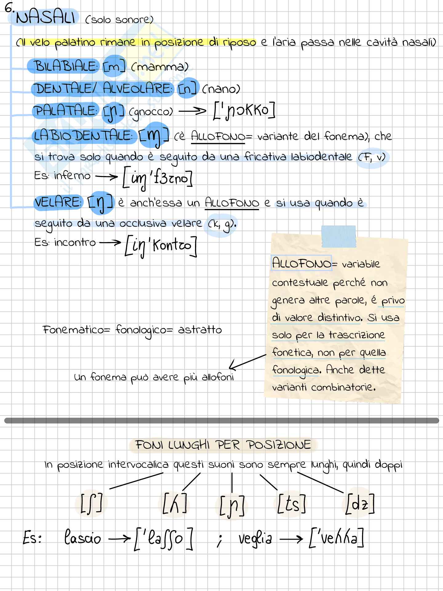 Riassunto esame Linguistica generale, Prof. Pozza Marianna, libro consigliato La linguistica , Berruto, Cerruti Pag. 26